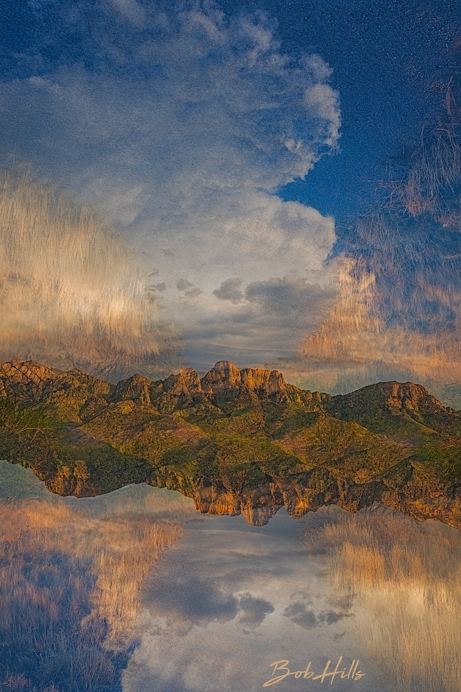 Desert Inversions 5499