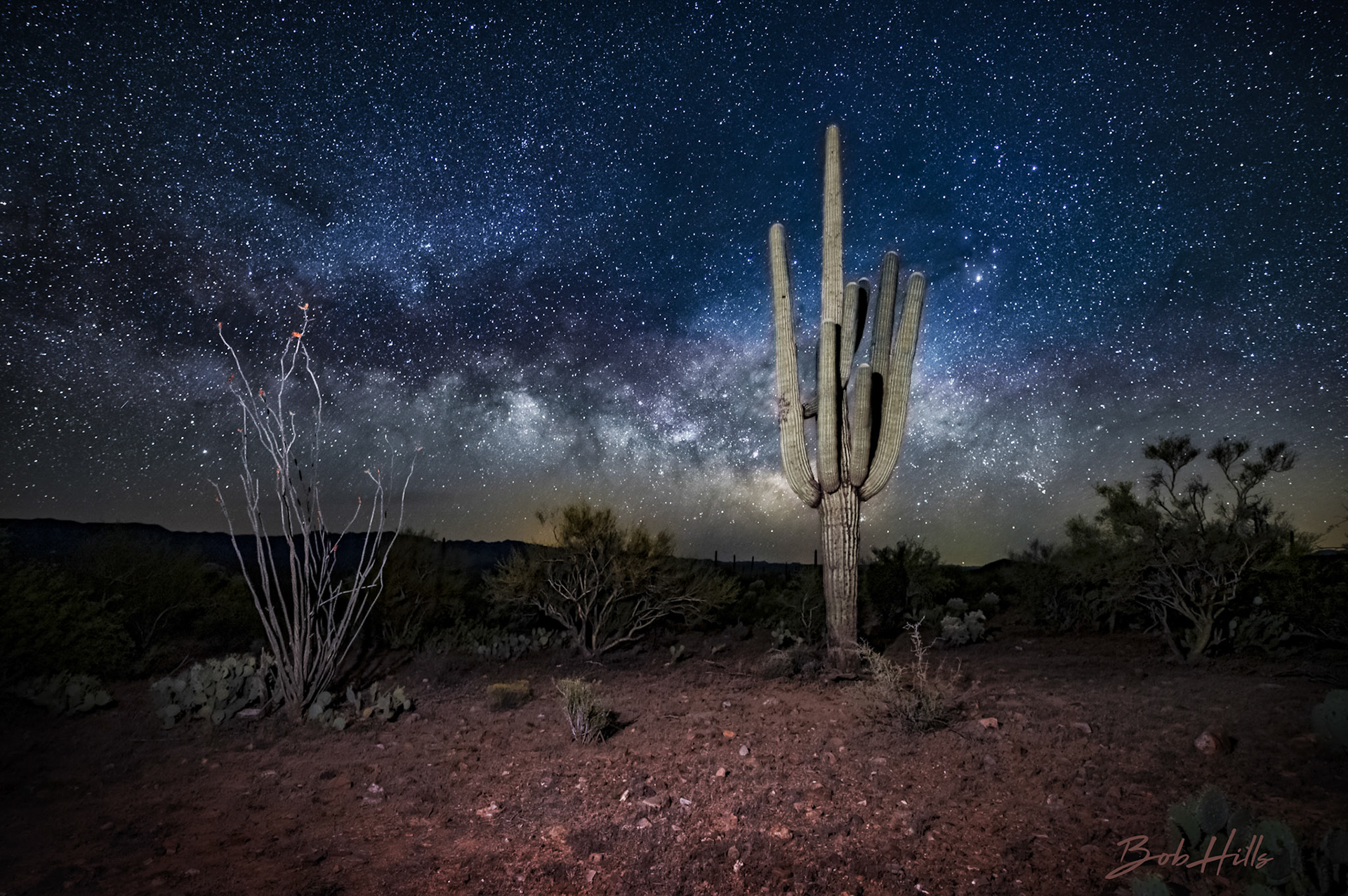 Ocotillo and Saguaro with Milky Way Back Drop