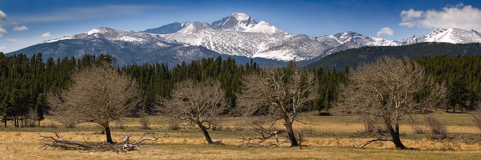 Rocky Mountain