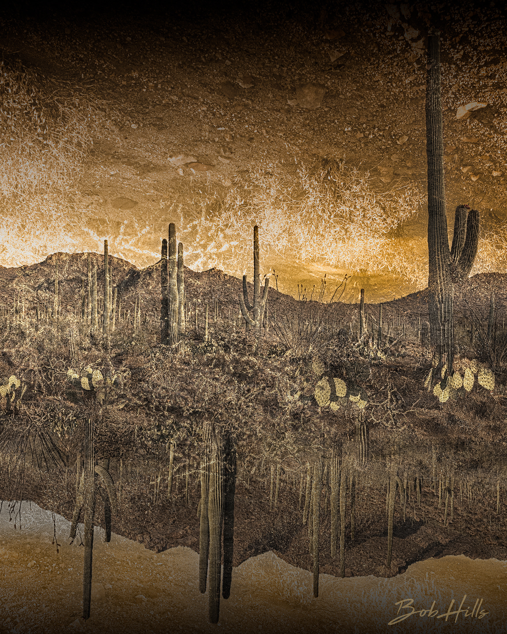 Desert Inversions 5273