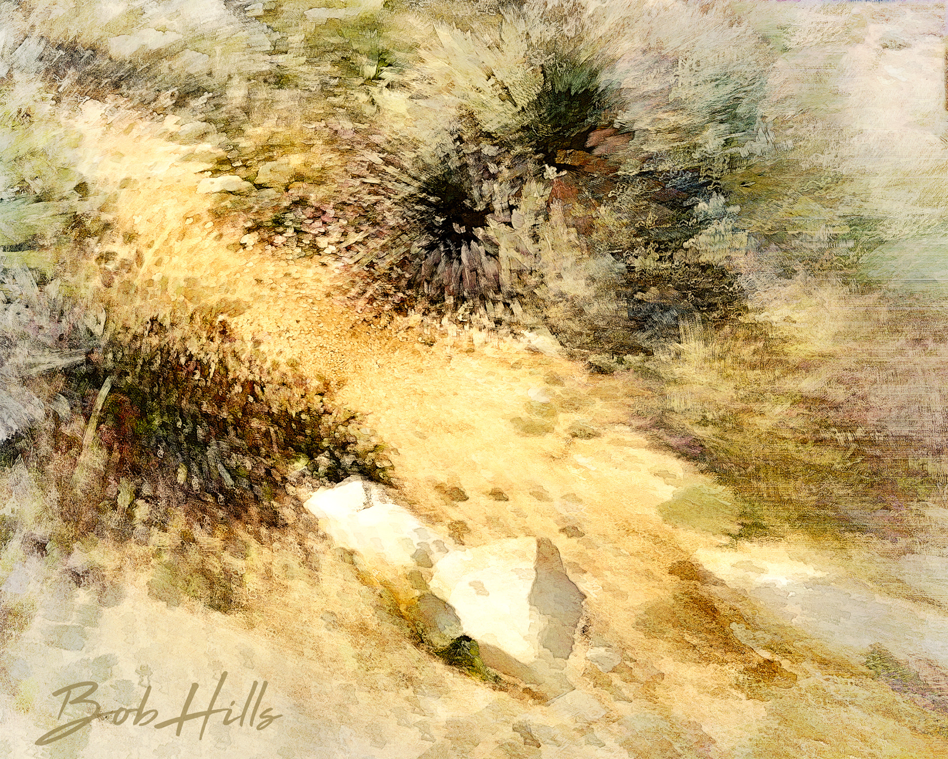 Rocks Along the Path