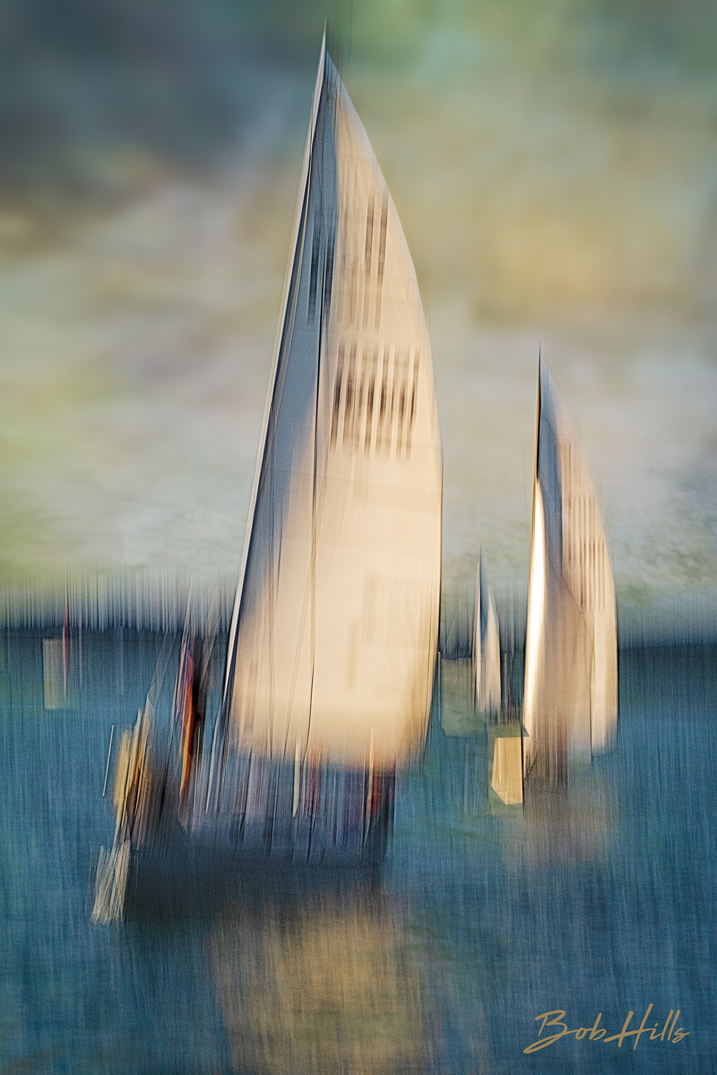 Regatta 8036