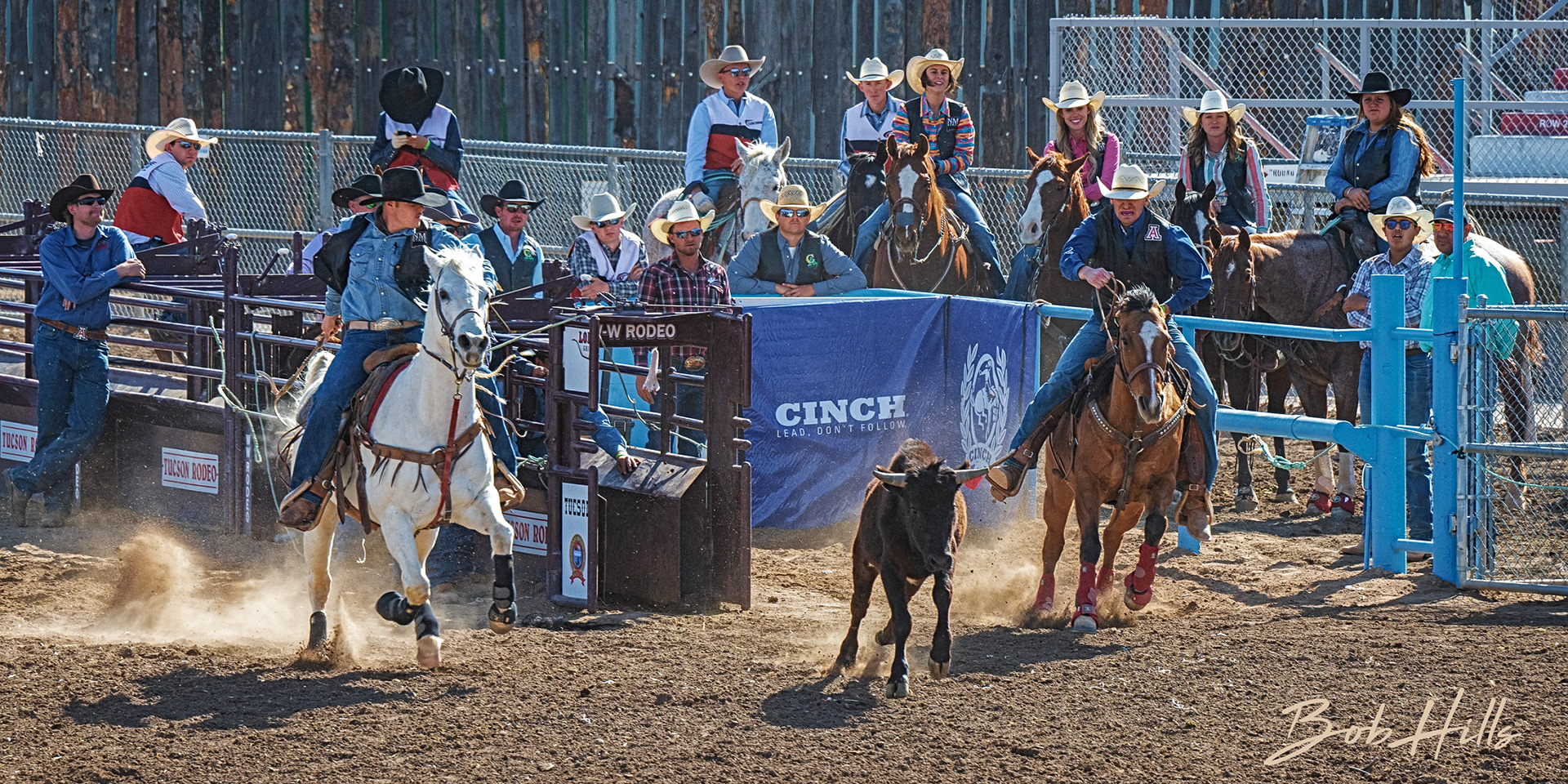 Rodeo - 17