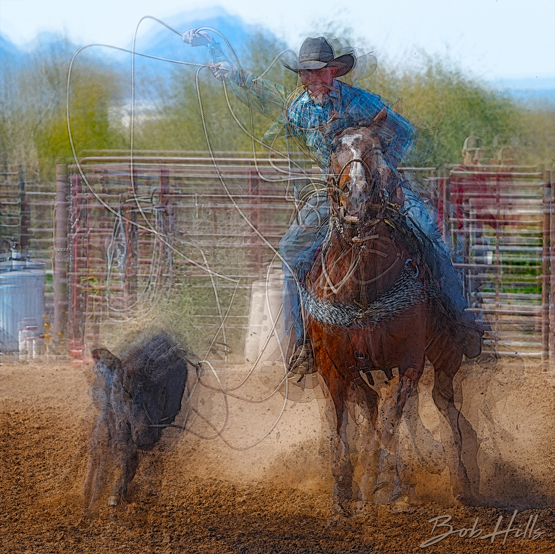 Roper 14 ME
