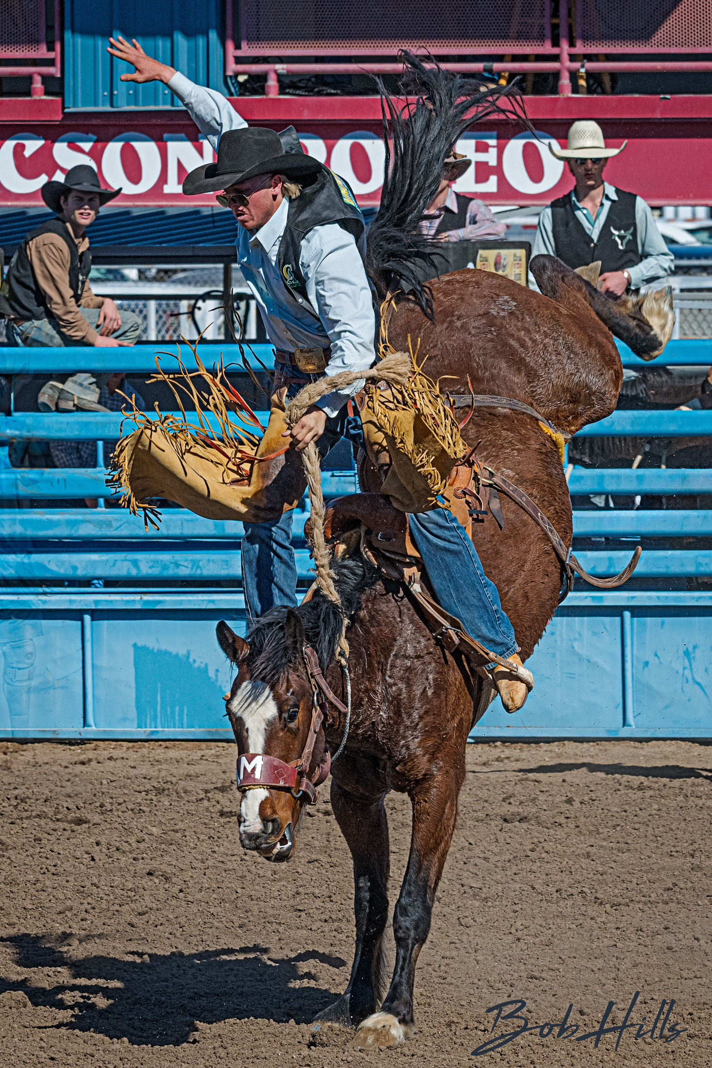 Rodeo - 28