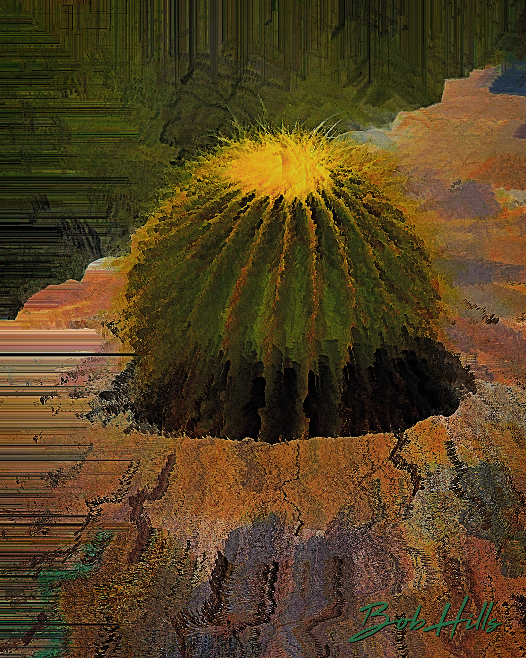 Just a Barrel Cactus