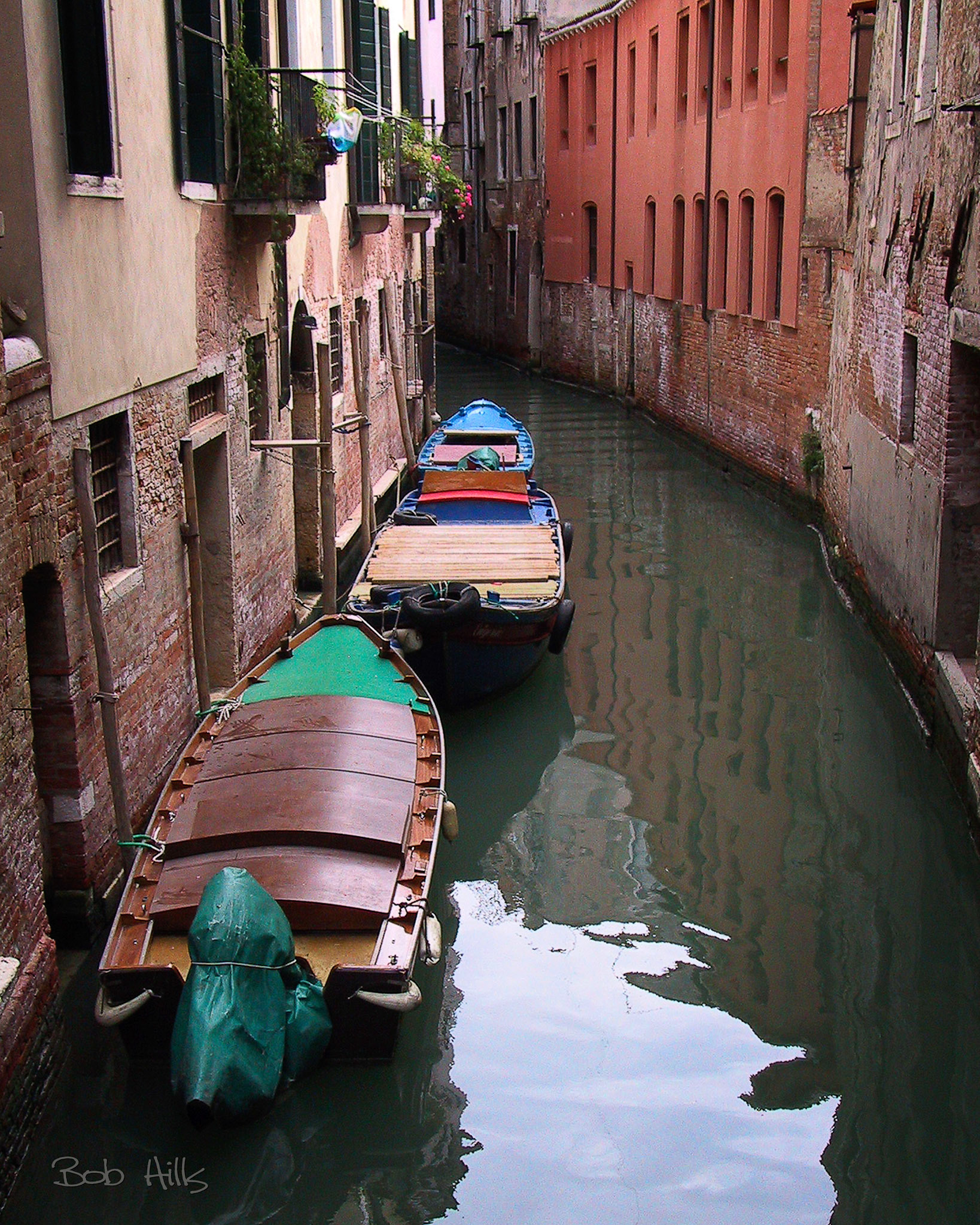 Back Canal 1 (Original)