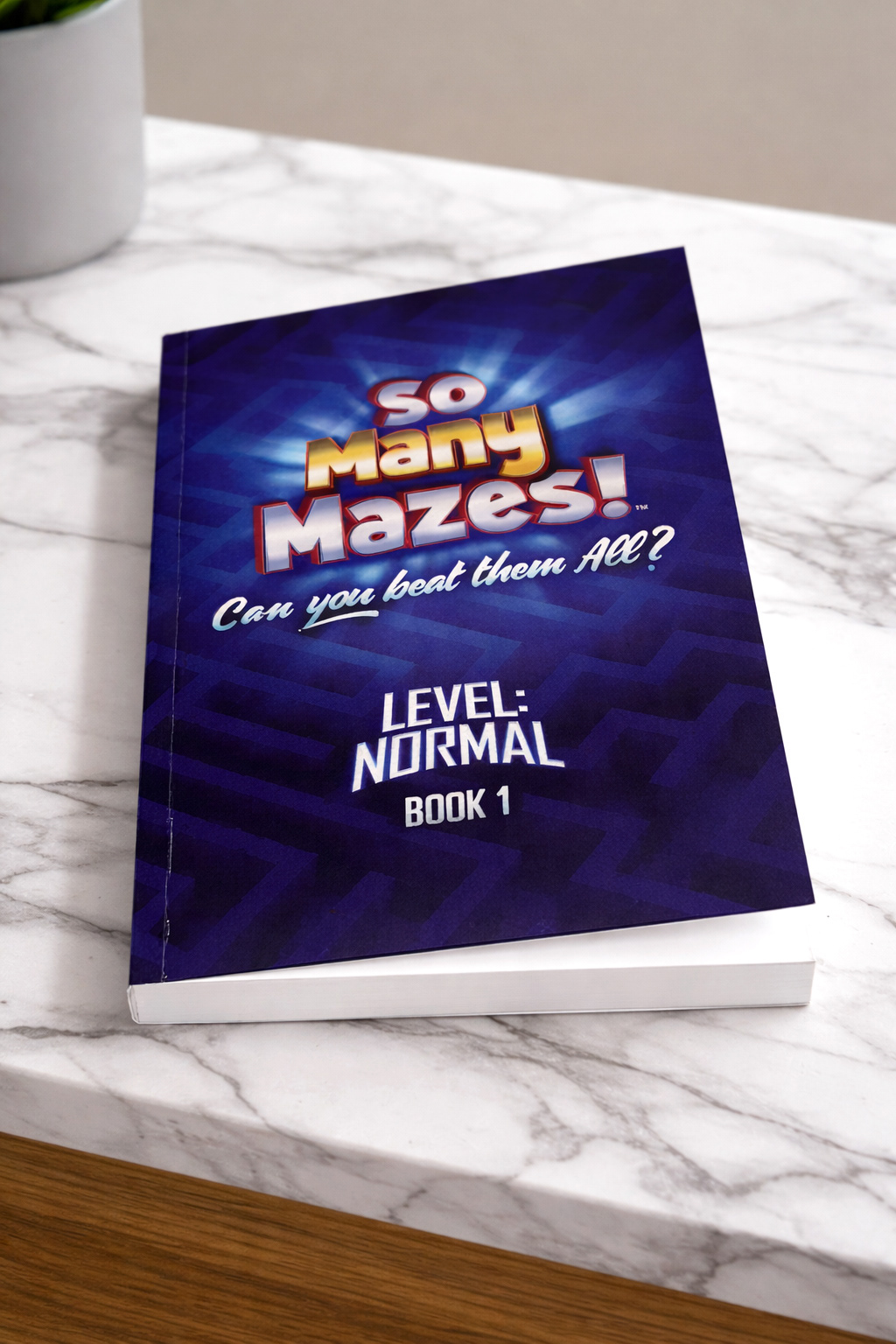 This is a puzzle book I created and published called So Many Mazes!