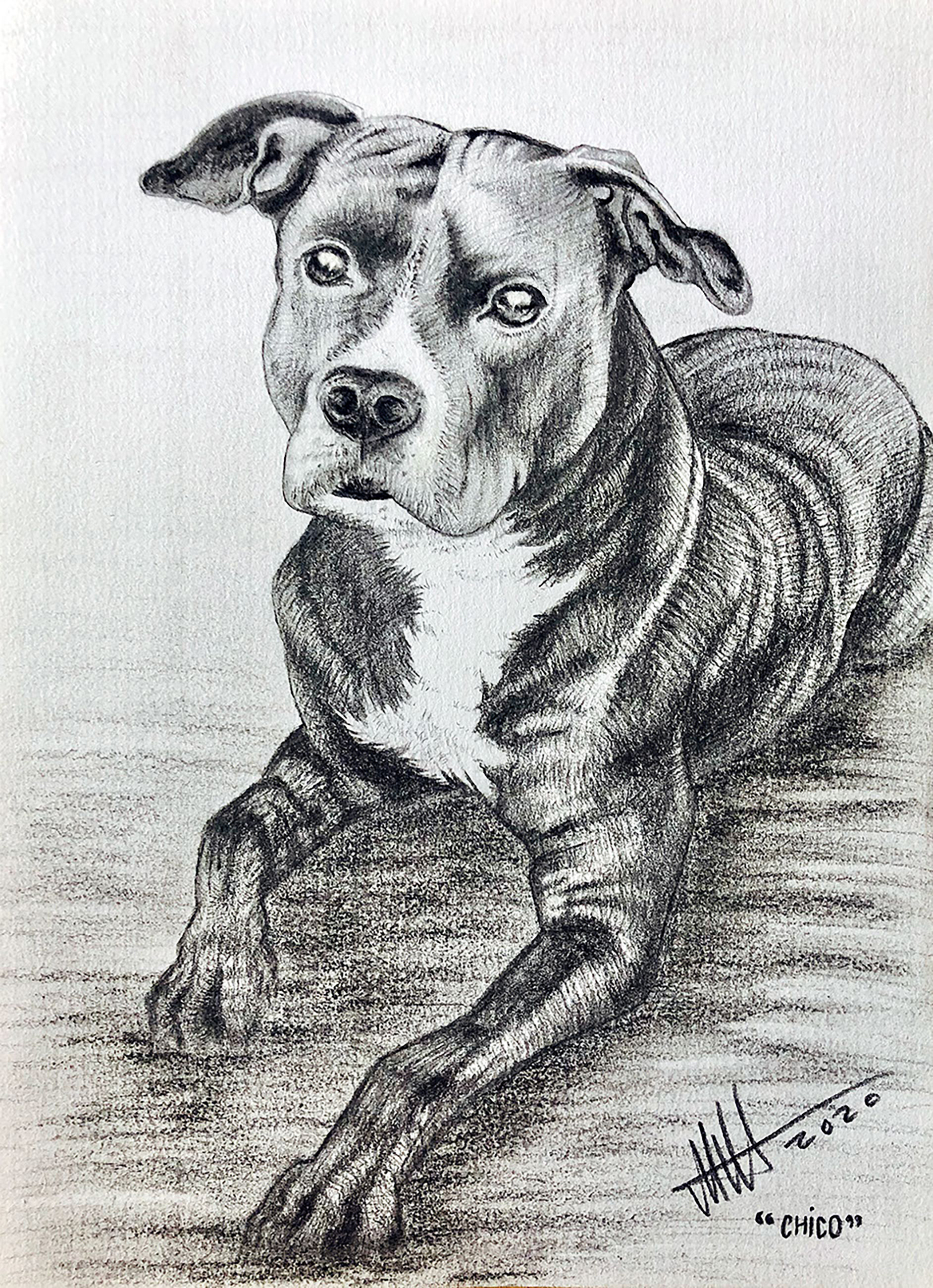 Chico. Lyijykynä paperille. A4.