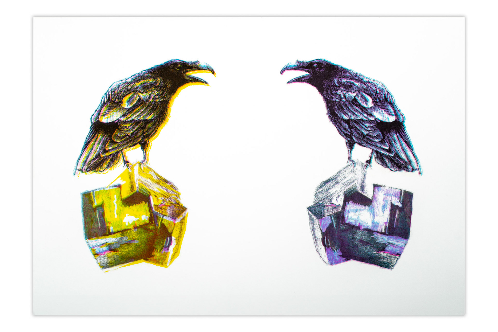 Erik van Tuijn. - Fool's Gold, Double or Nothing - A3 Riso print - 2024