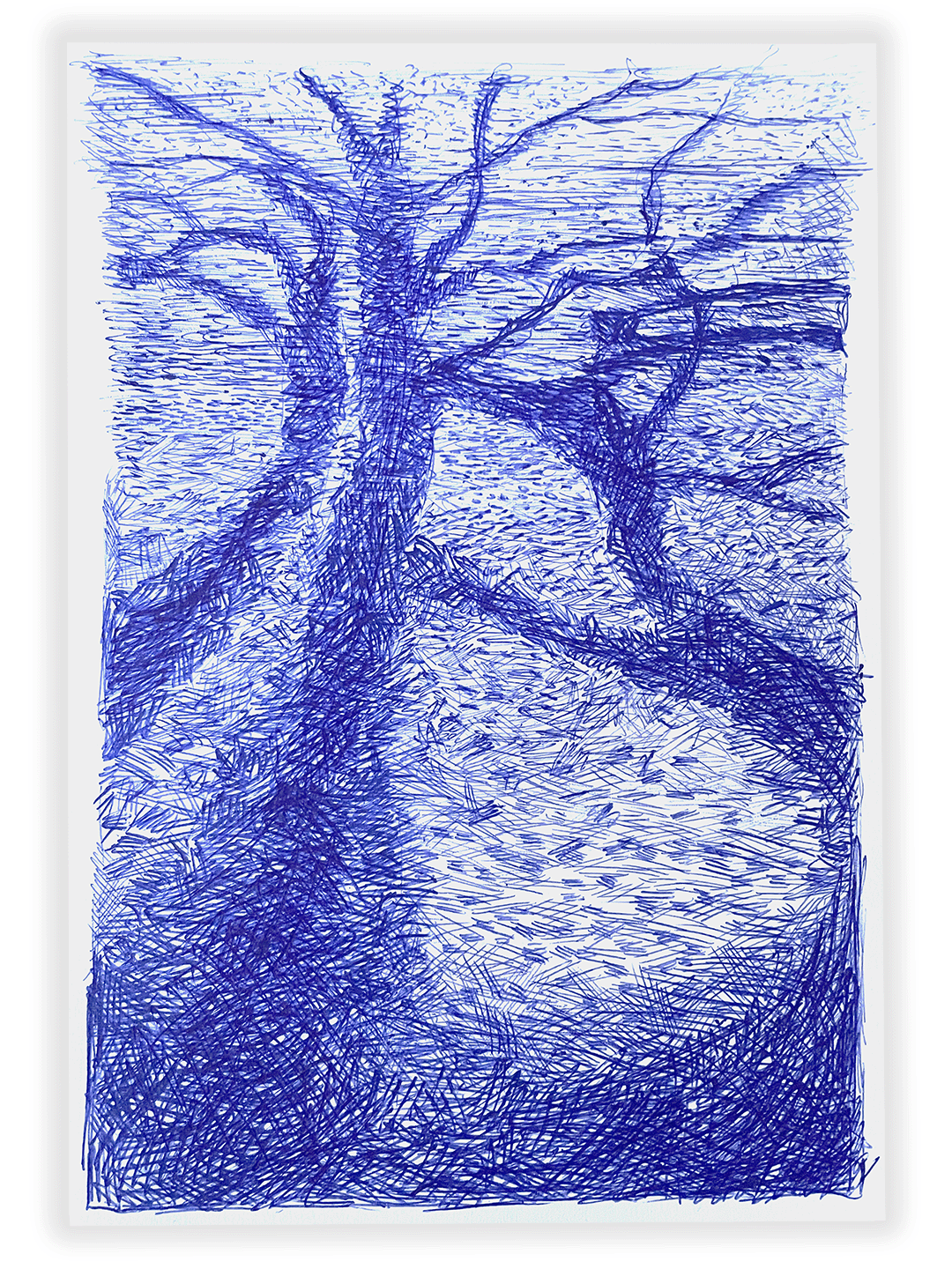 Schaduwpad Oostbroek