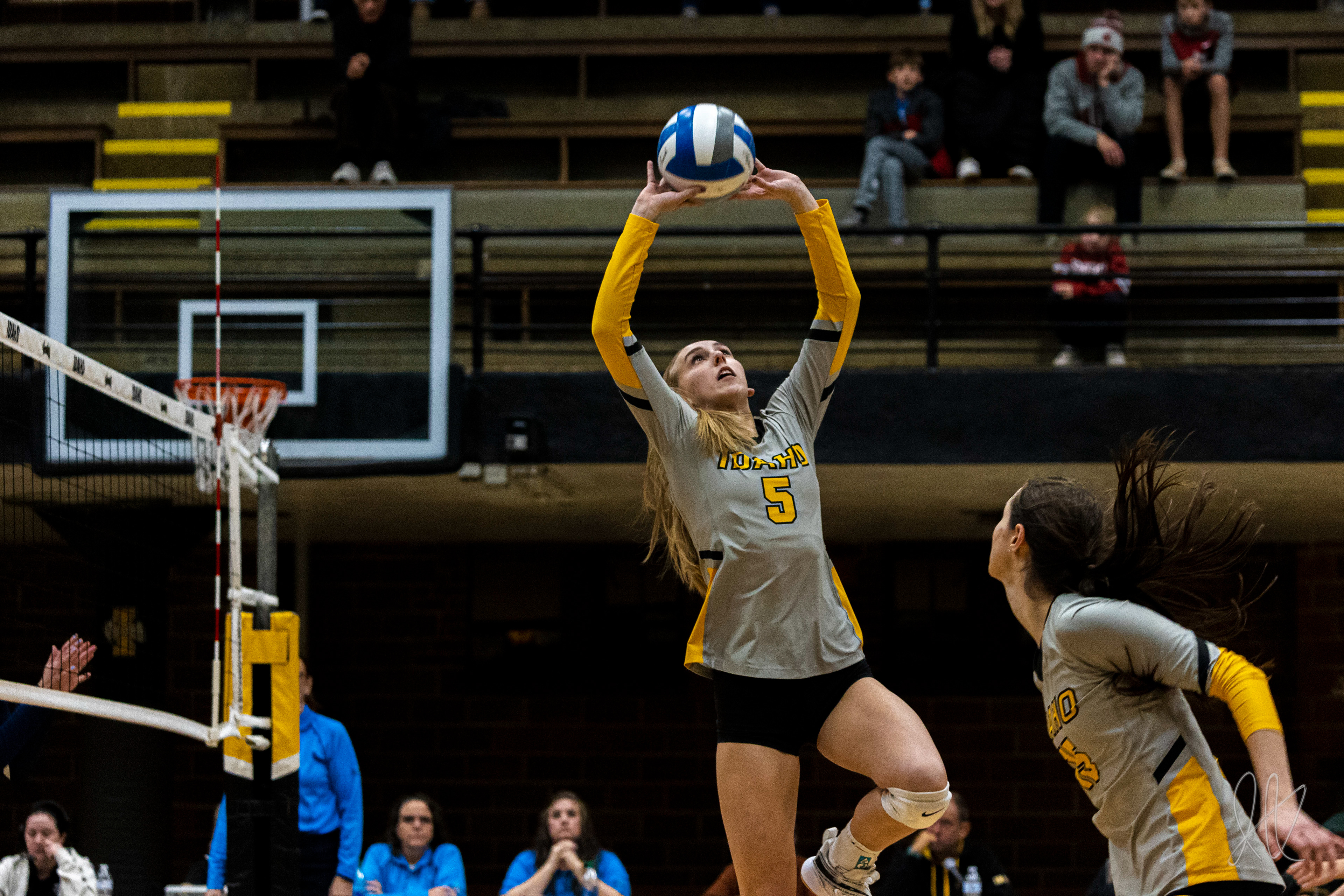 Hailey Pelton sets the ball for a teammate to spike down