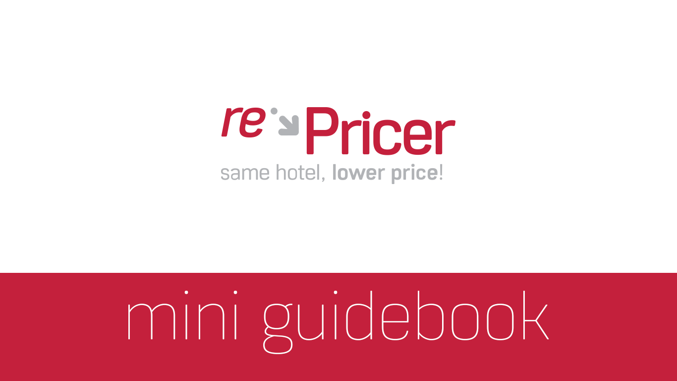 Branding rePricer a webapp from dcs+