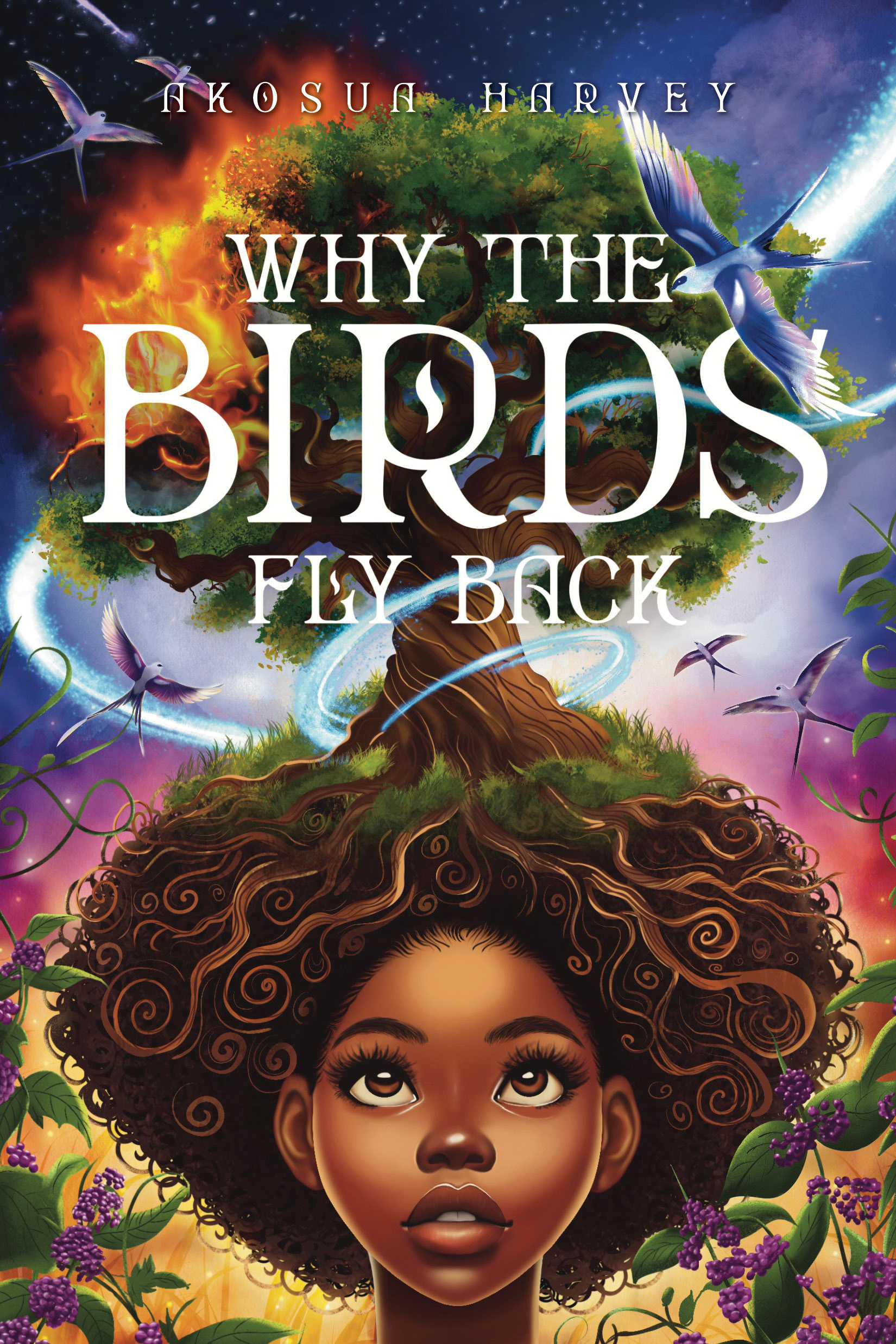 Why The Birds Fly Back-book cover