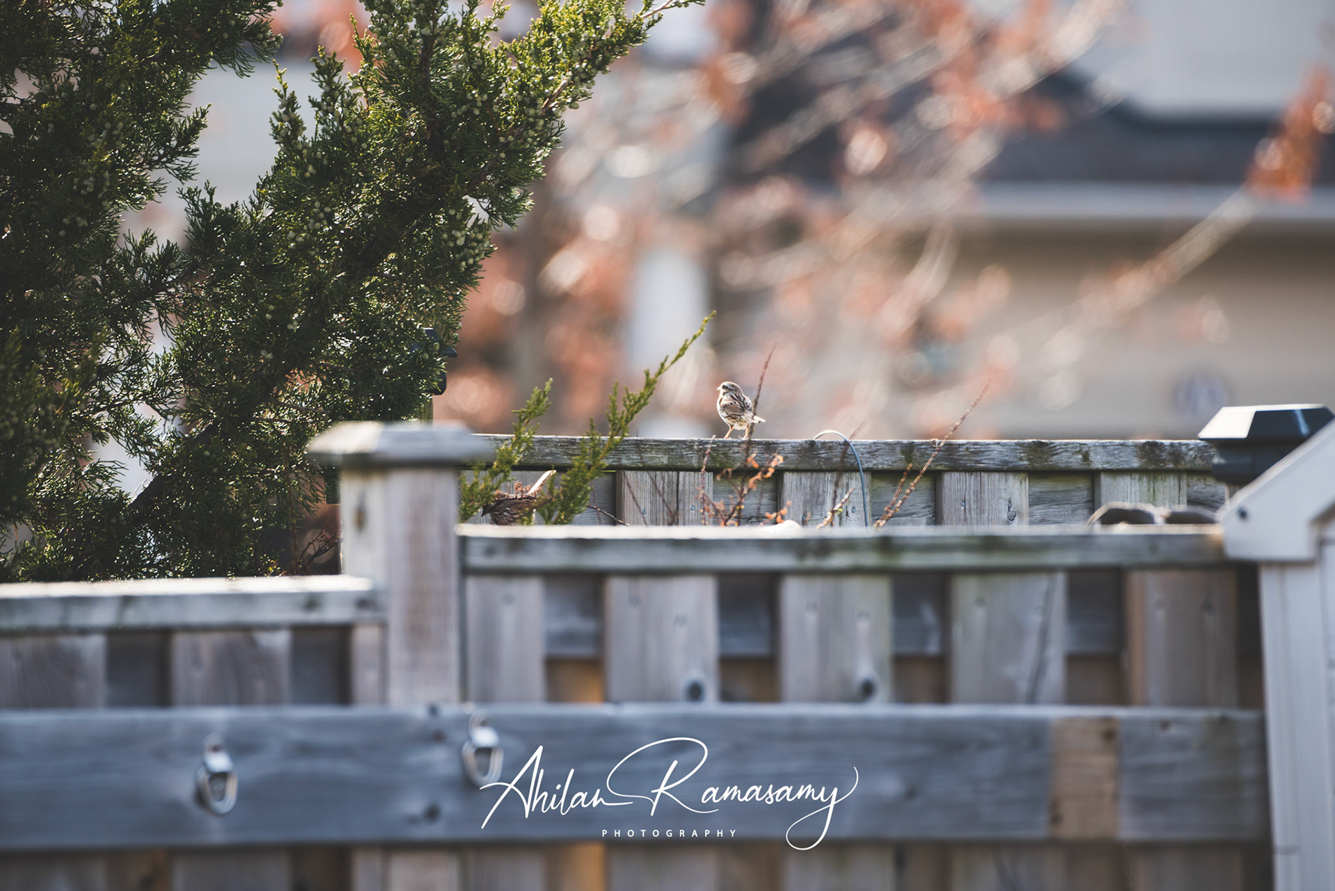 Alone and contemplating