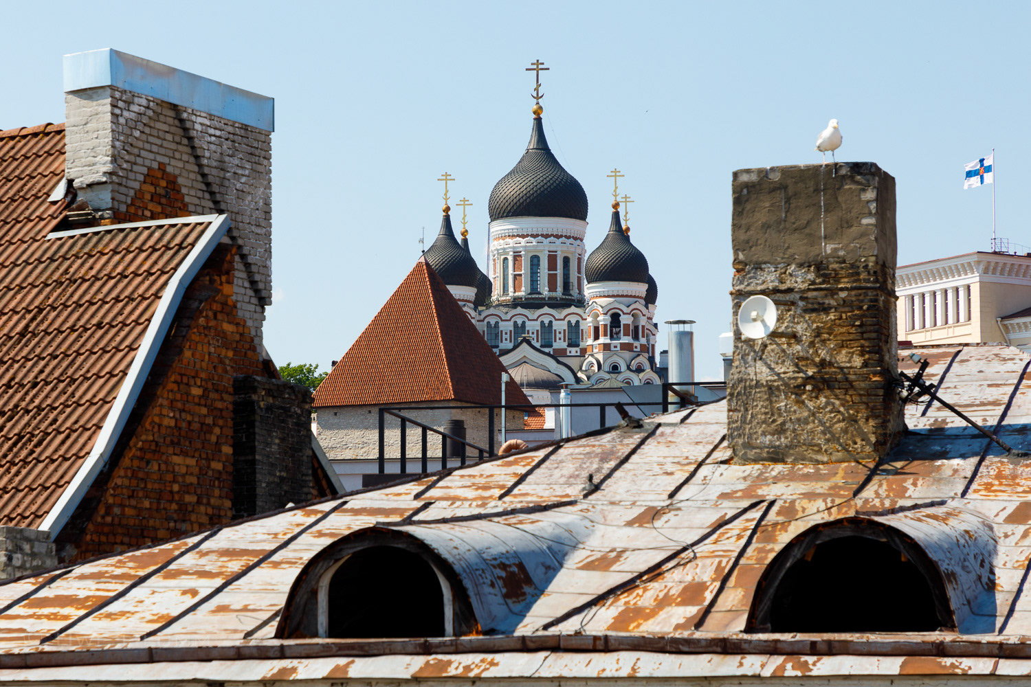 Tallin (Estonia)
