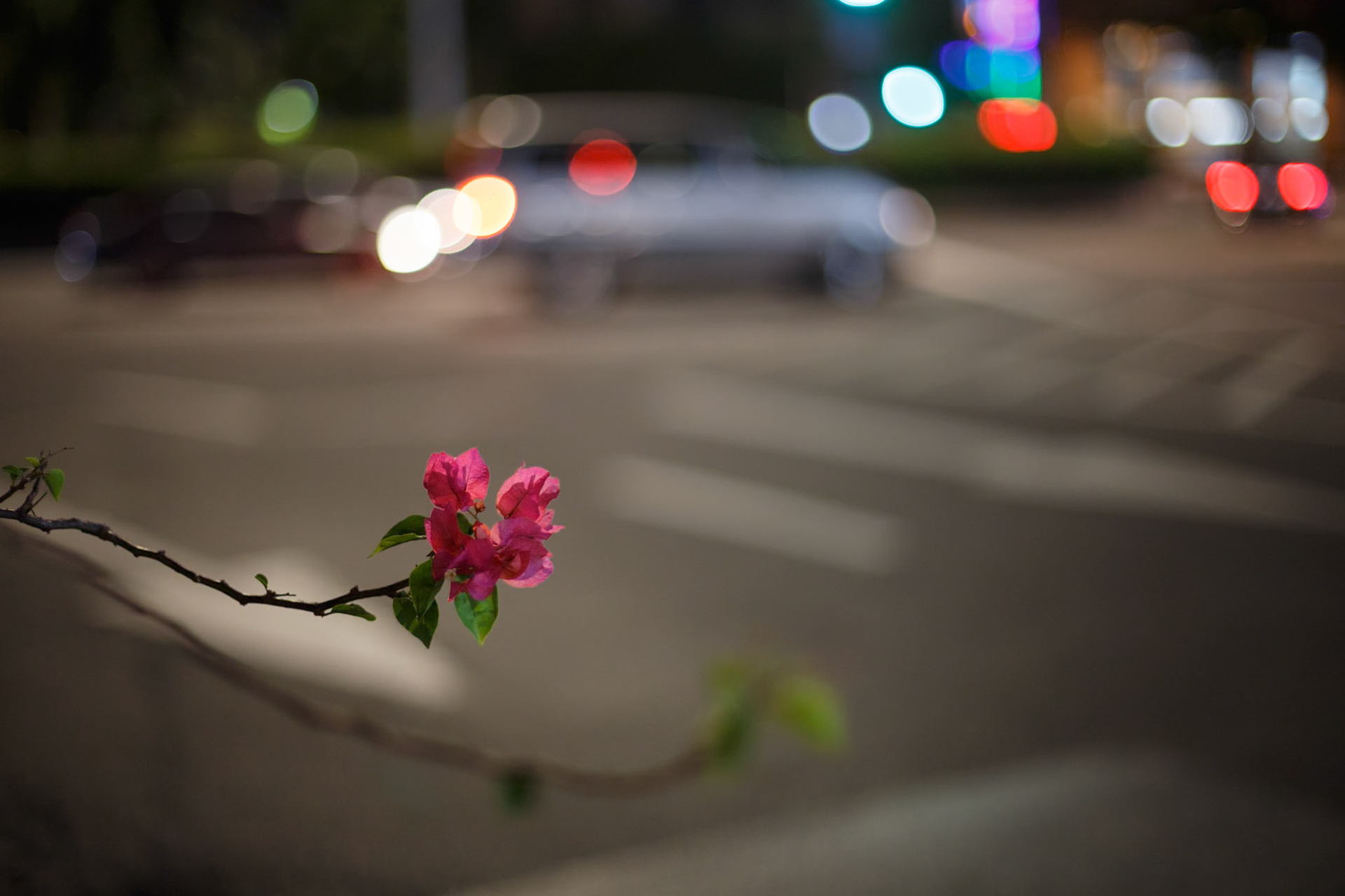 Traffic flower