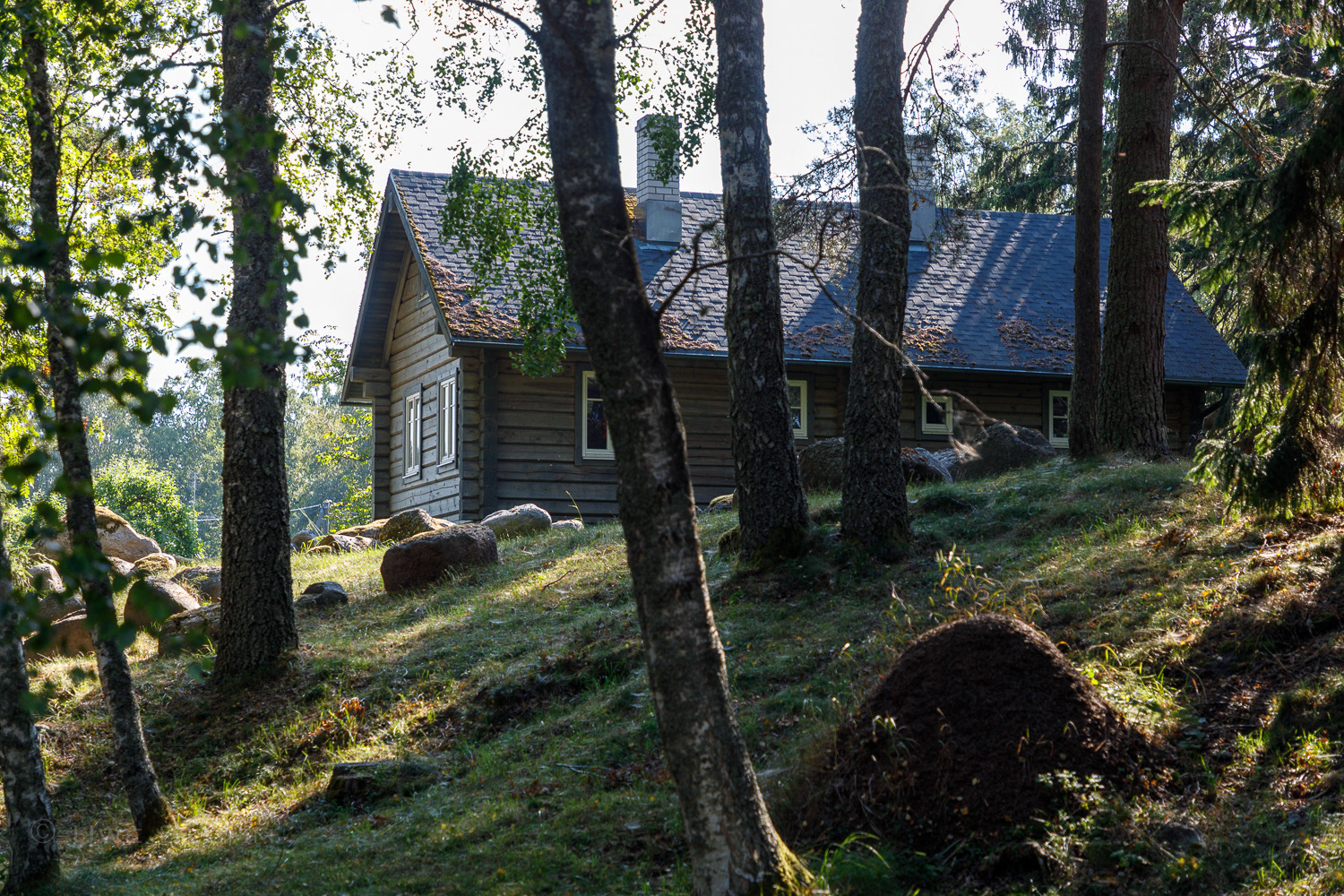 Altja (Estonia)