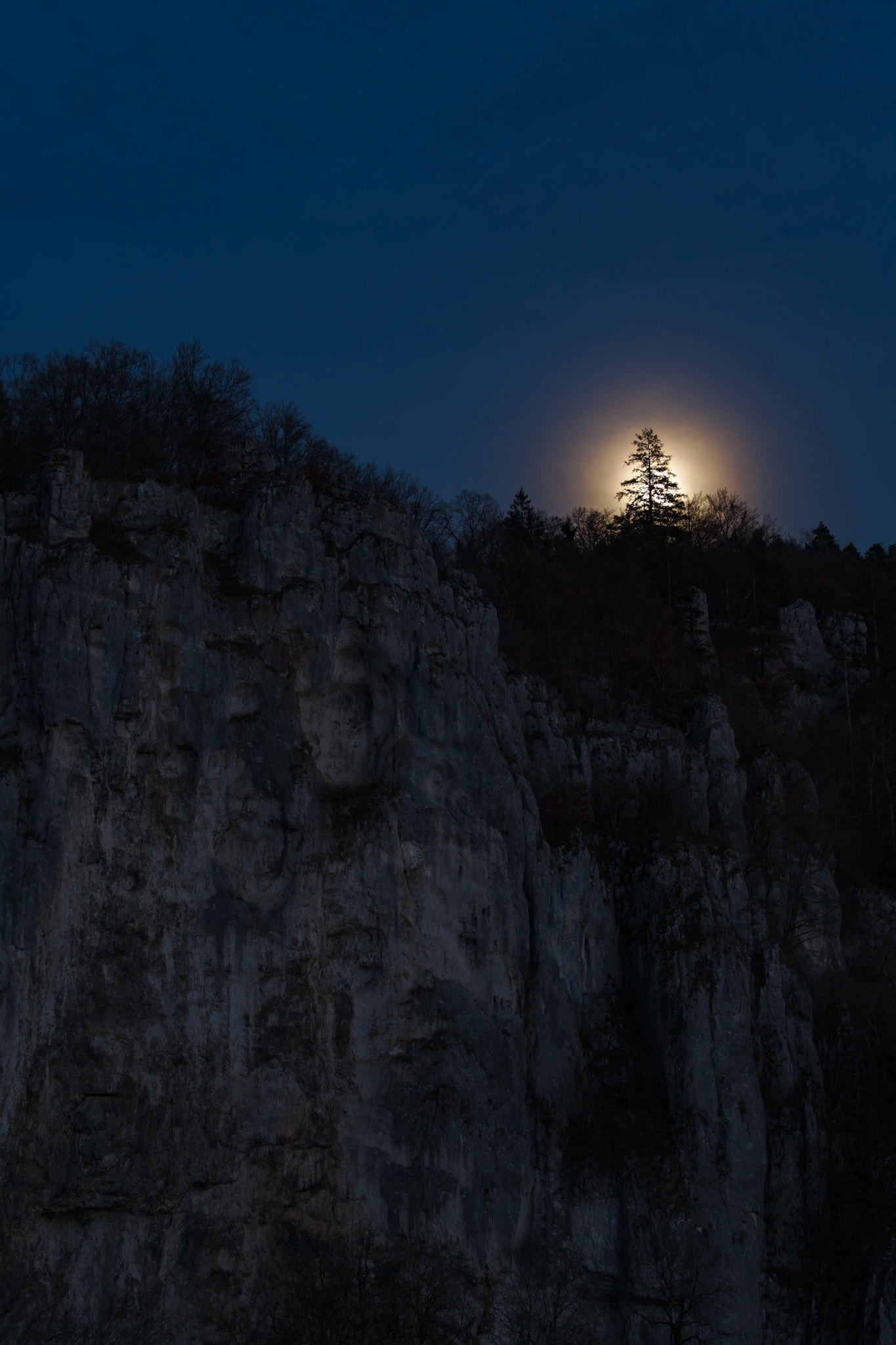 Nature Park upper danube, Germany. 22.11.2015