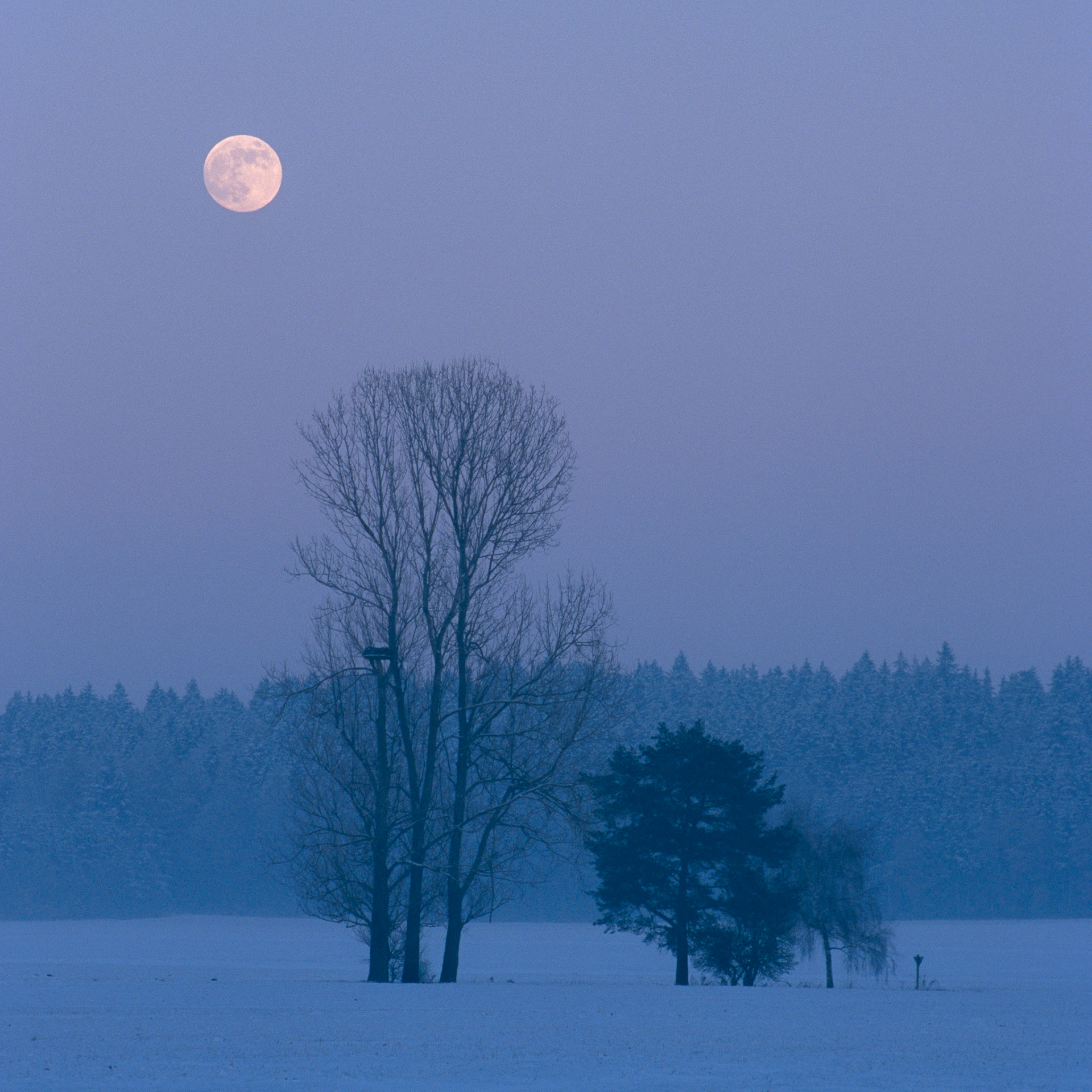 Taubenried, Pfullendorf, Germany. 22.03.2009