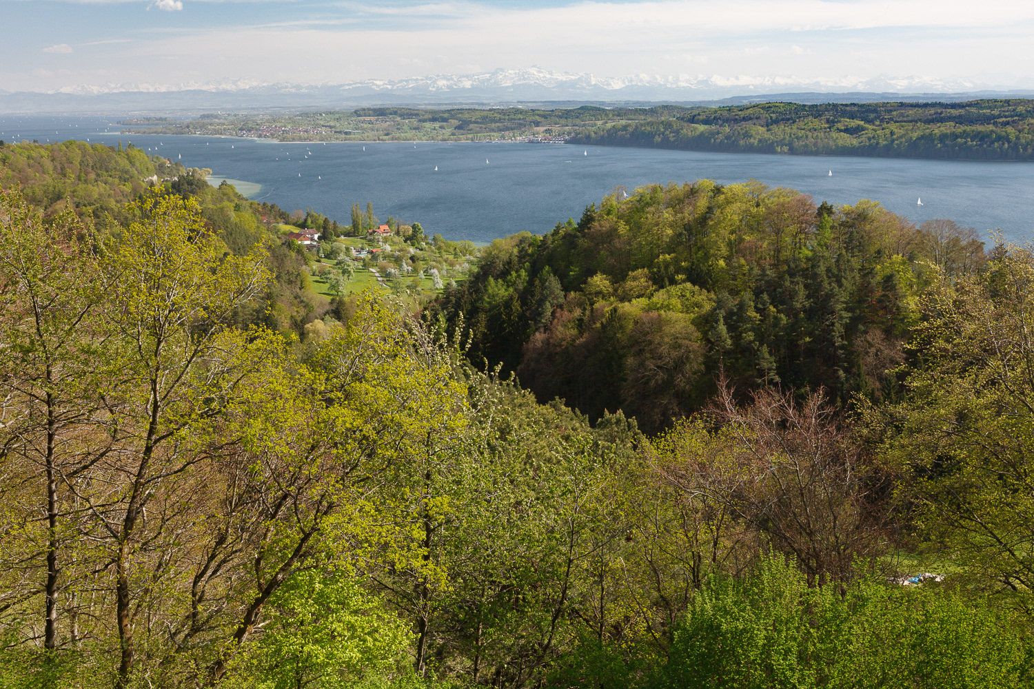 Zimmerwiese Sipplingen