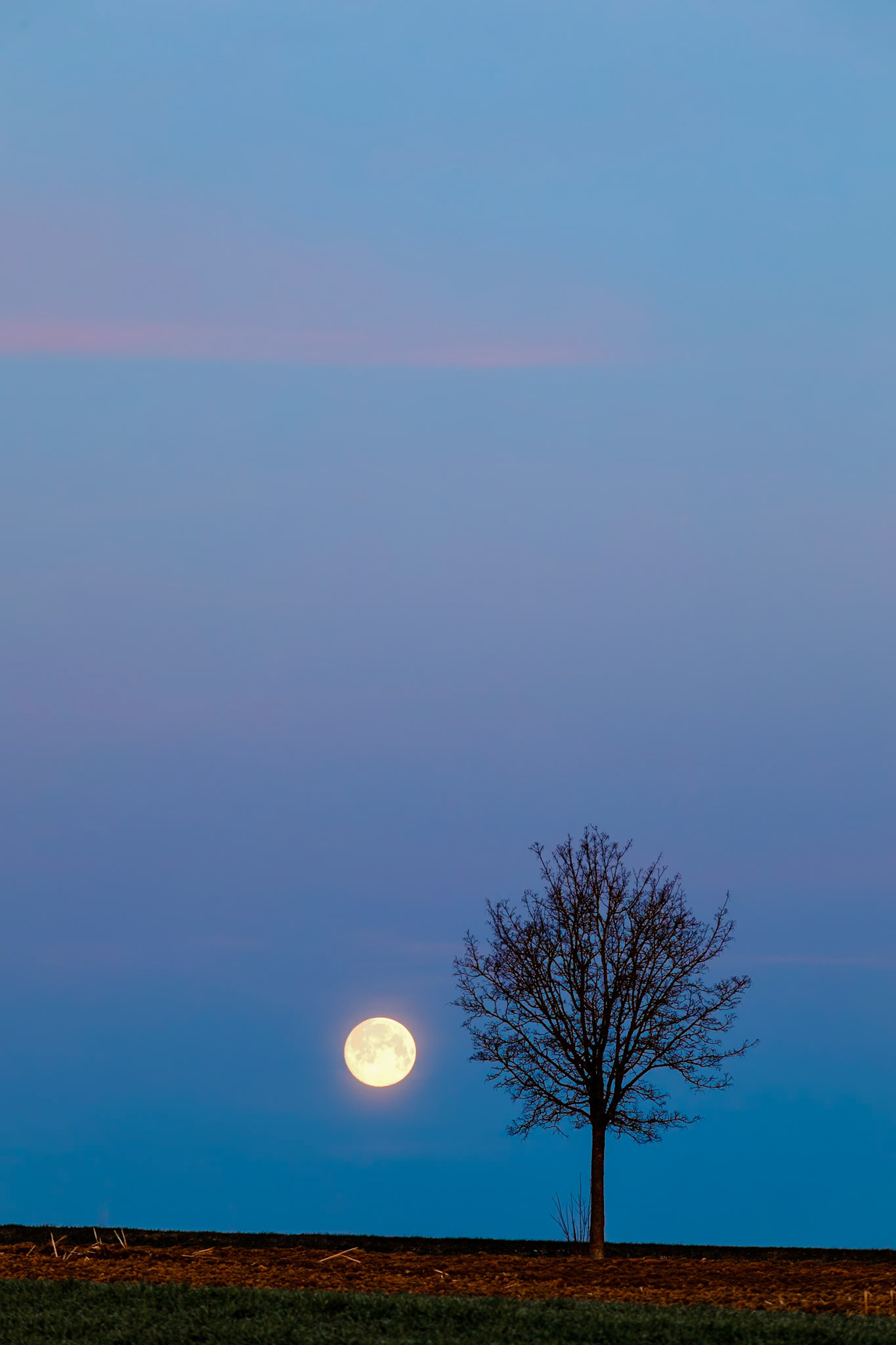 Pfullendorf, Germany. 28.03.2021