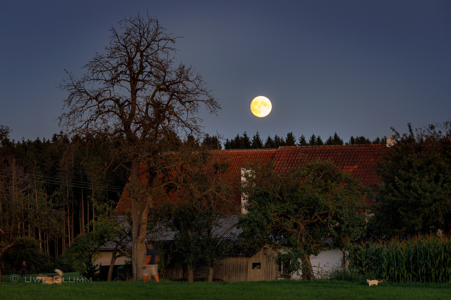 Another moonrise in the country side. Sentenhard, Germany. September 2019.