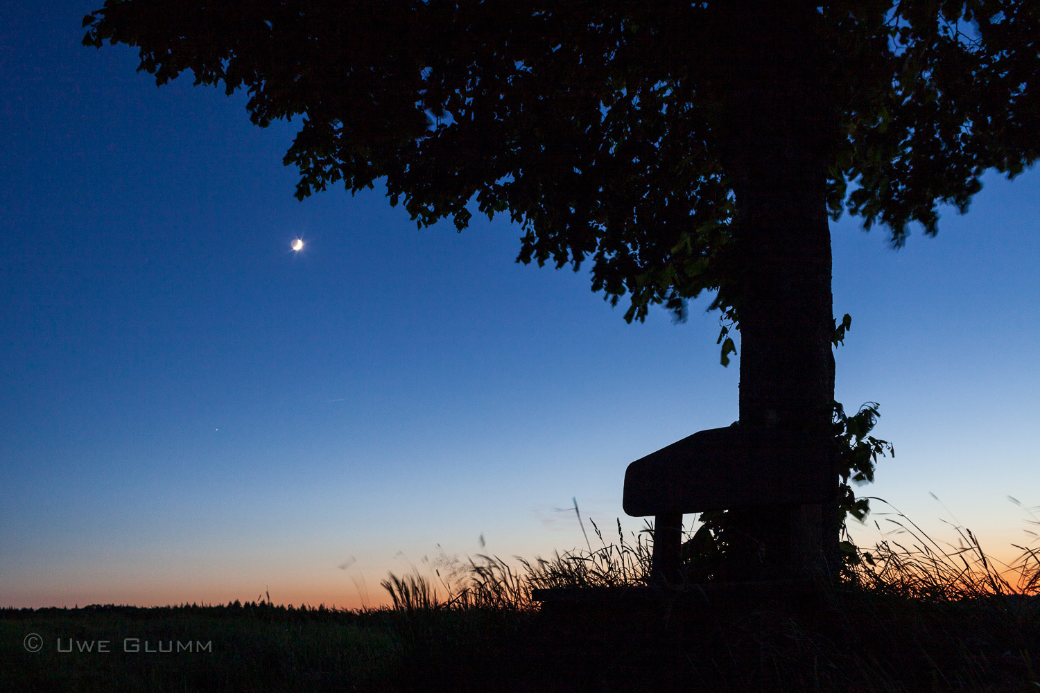 Bench under tree. Illmensee, Germany. 2012.