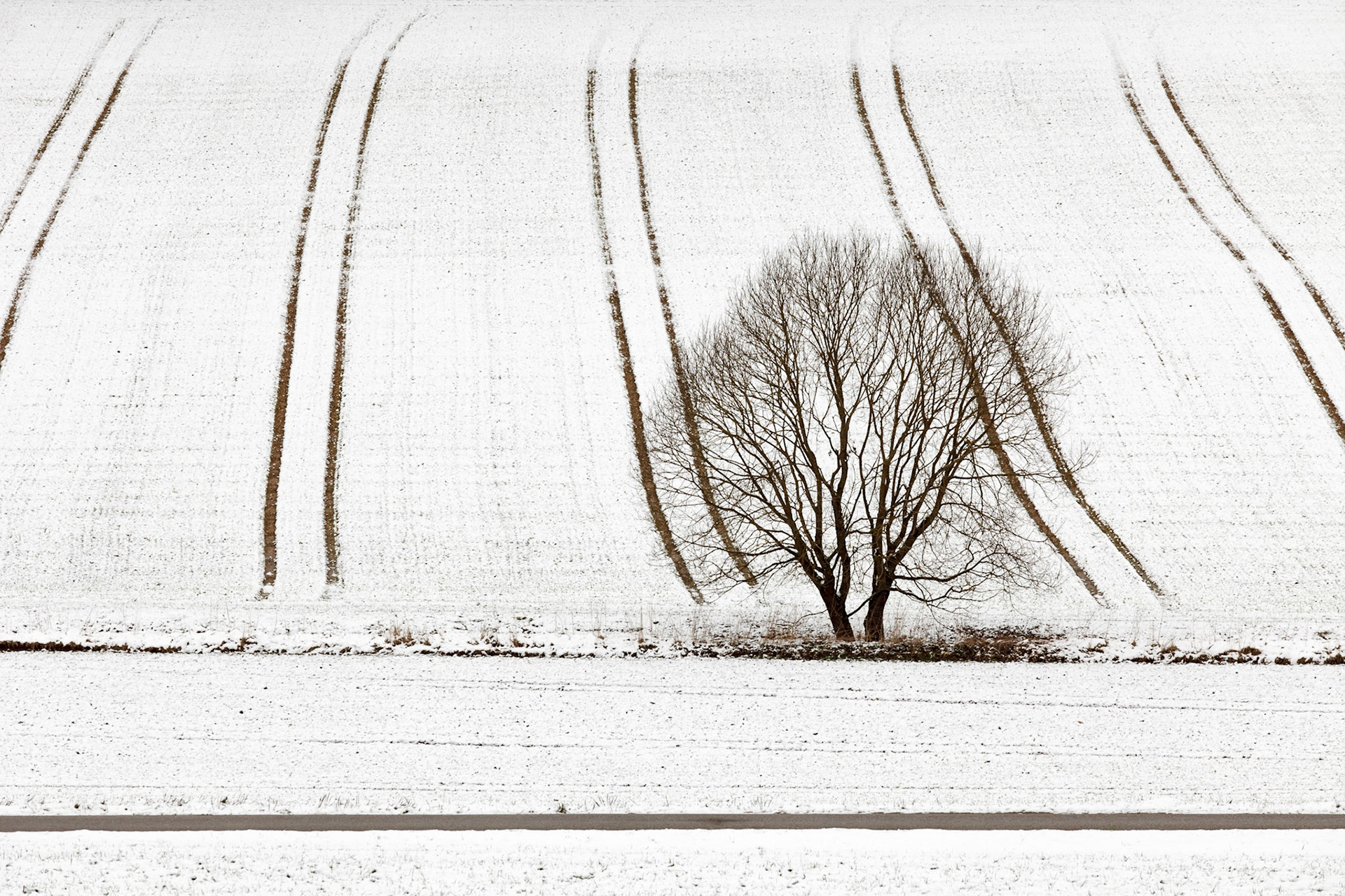 Dietfurt, 2015