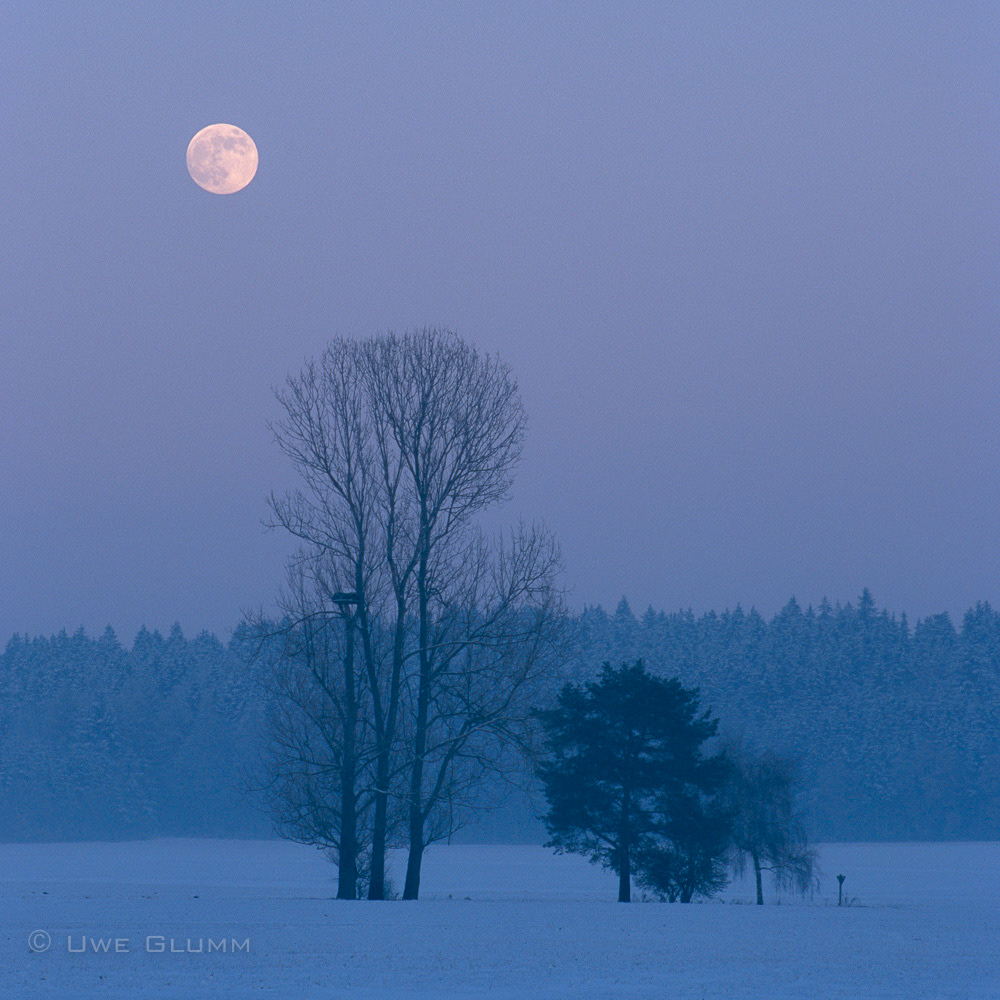 Marshland in winter with moon. Pfullendorf, Germany. 2009.