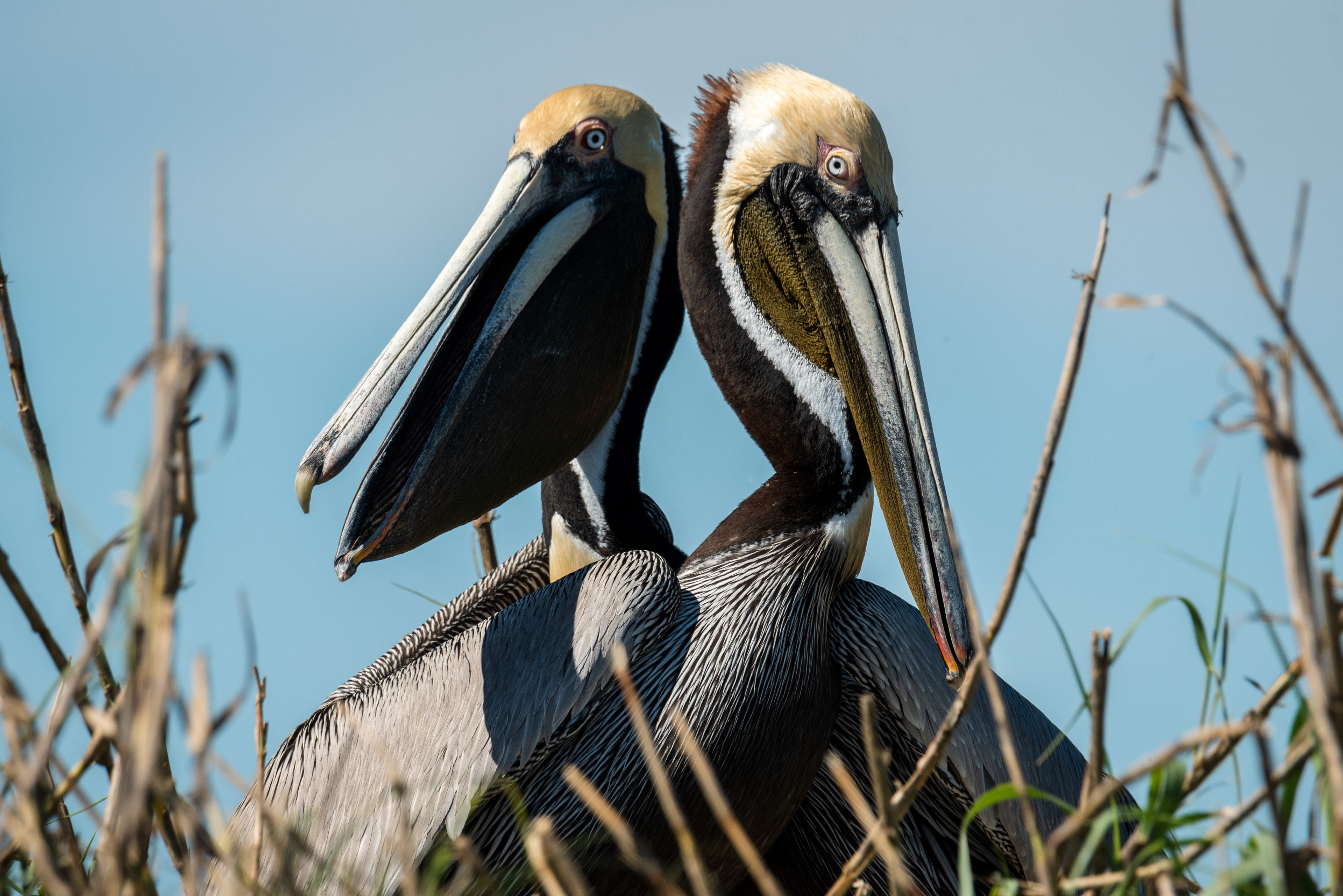 Property of South Carolina Department of Natural Resources