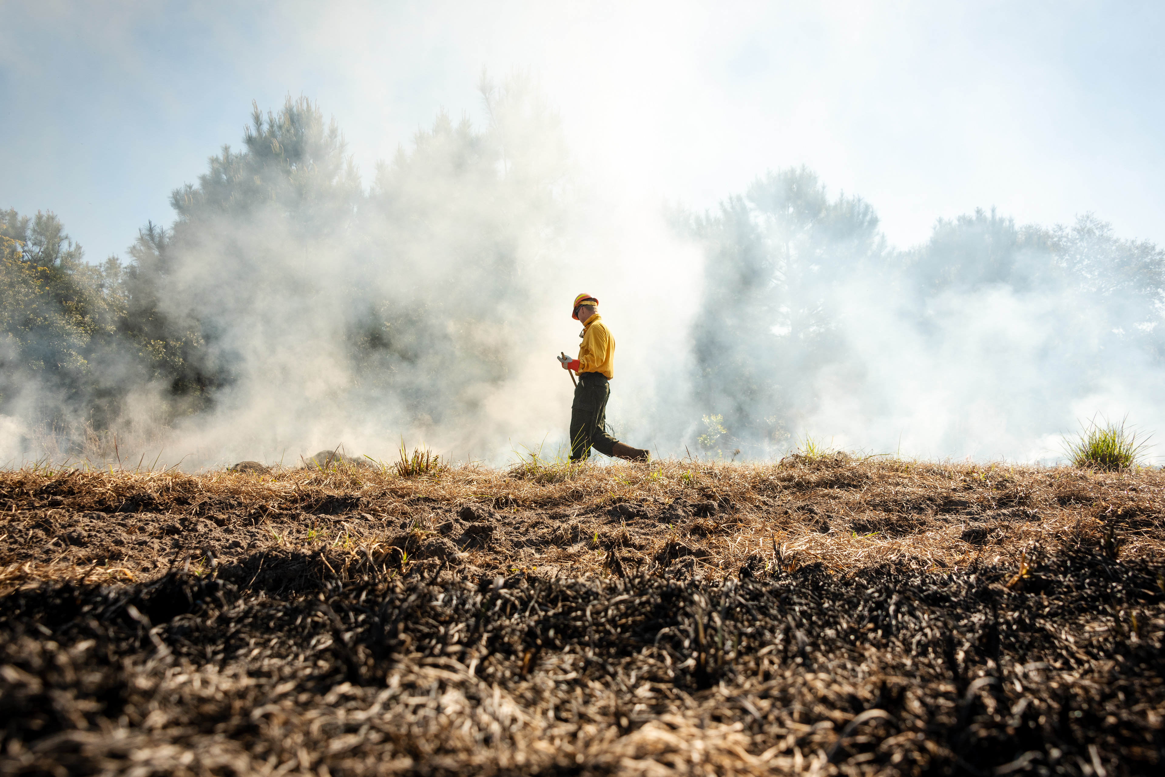 Property of South Carolina Department of Natural Resources