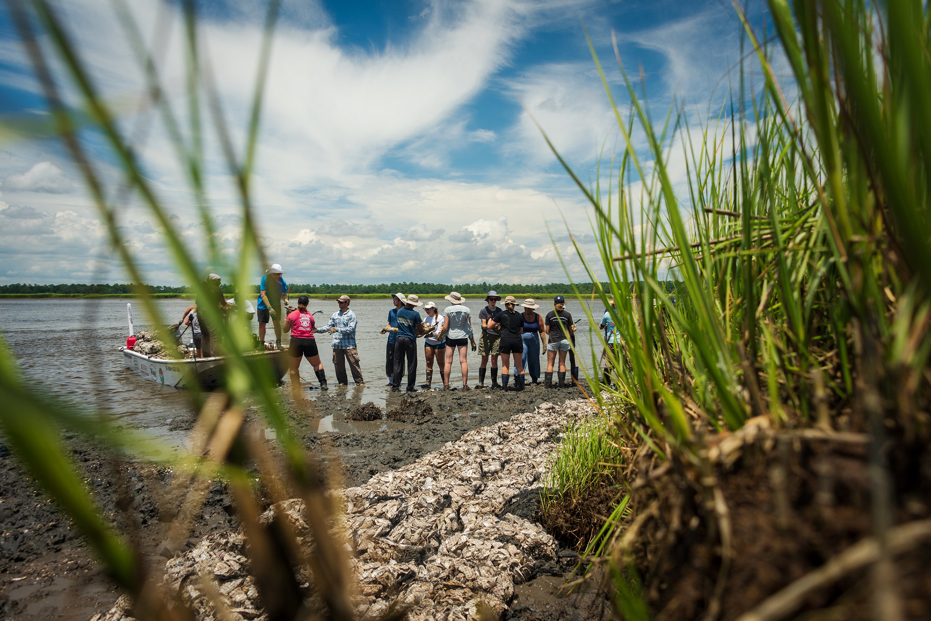 Event Volunteers planting recycled oyster shell to restore a shoreline