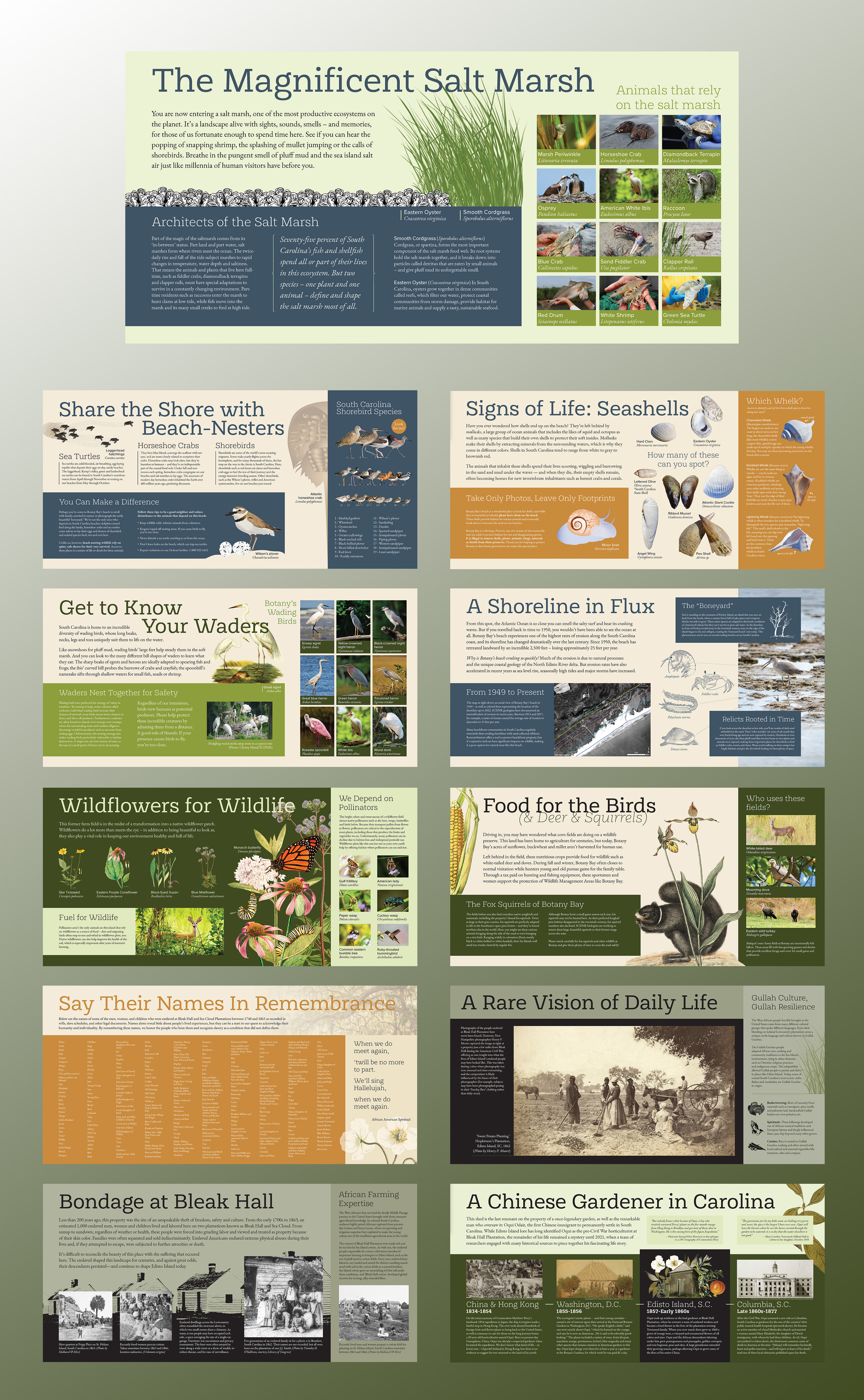 11 Interpretive Signs designed for Botany Bay sharing the history and ecology of the wildlife preserve