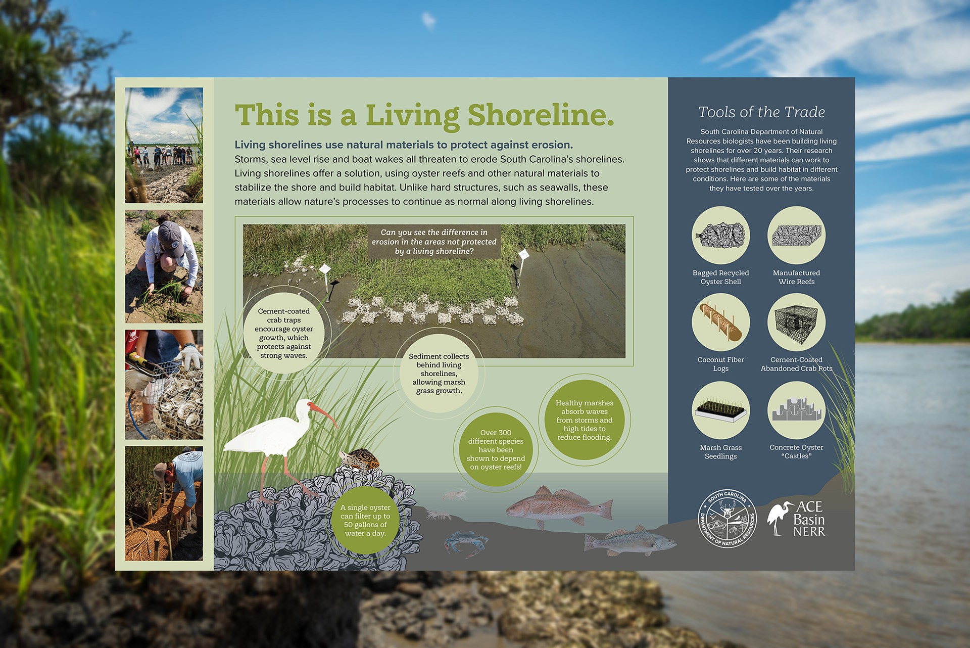 Interpretive Signage for Living Shoreline Sites around South Carolina