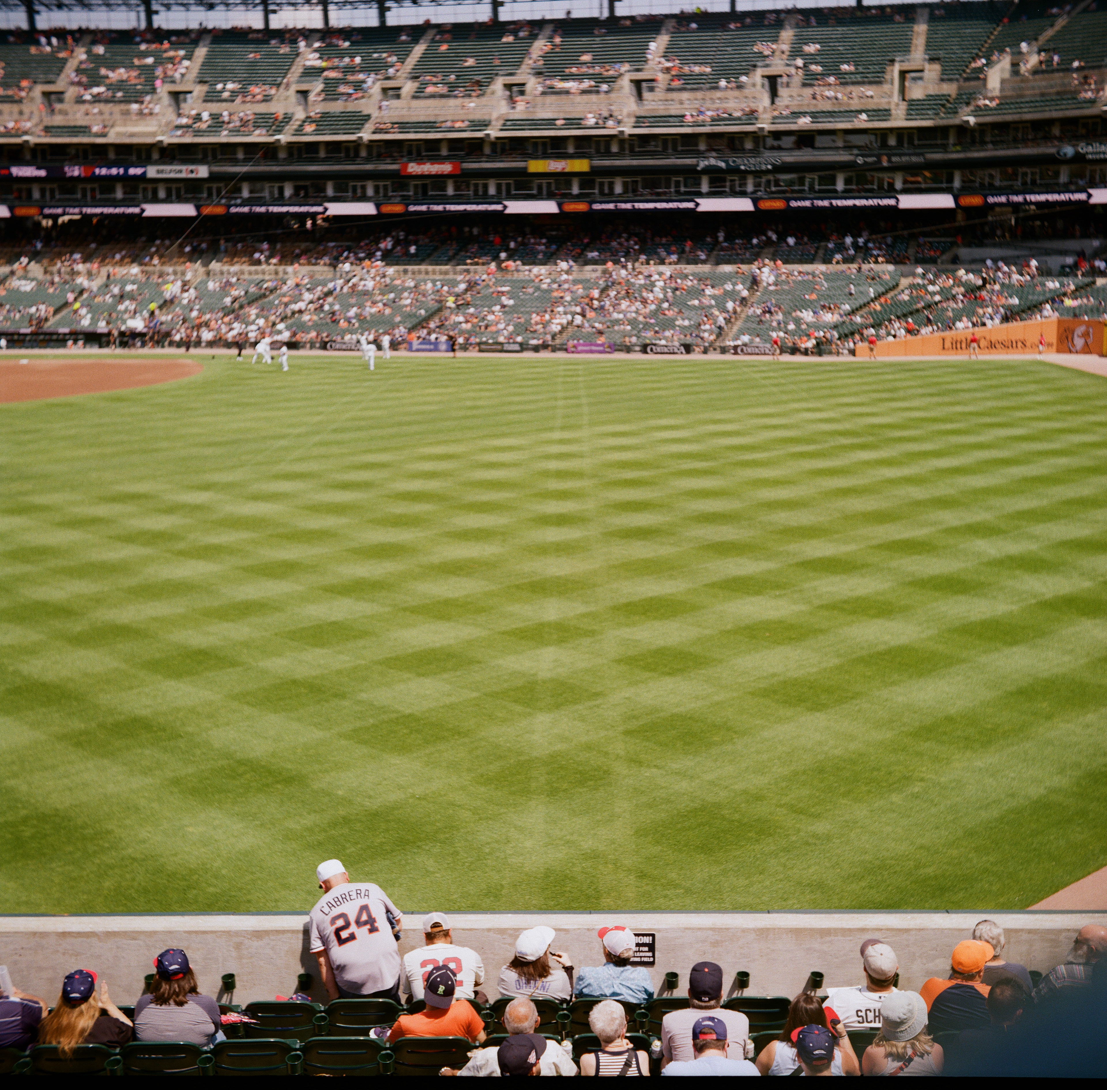 yashica-c tlr, kodak gold 200