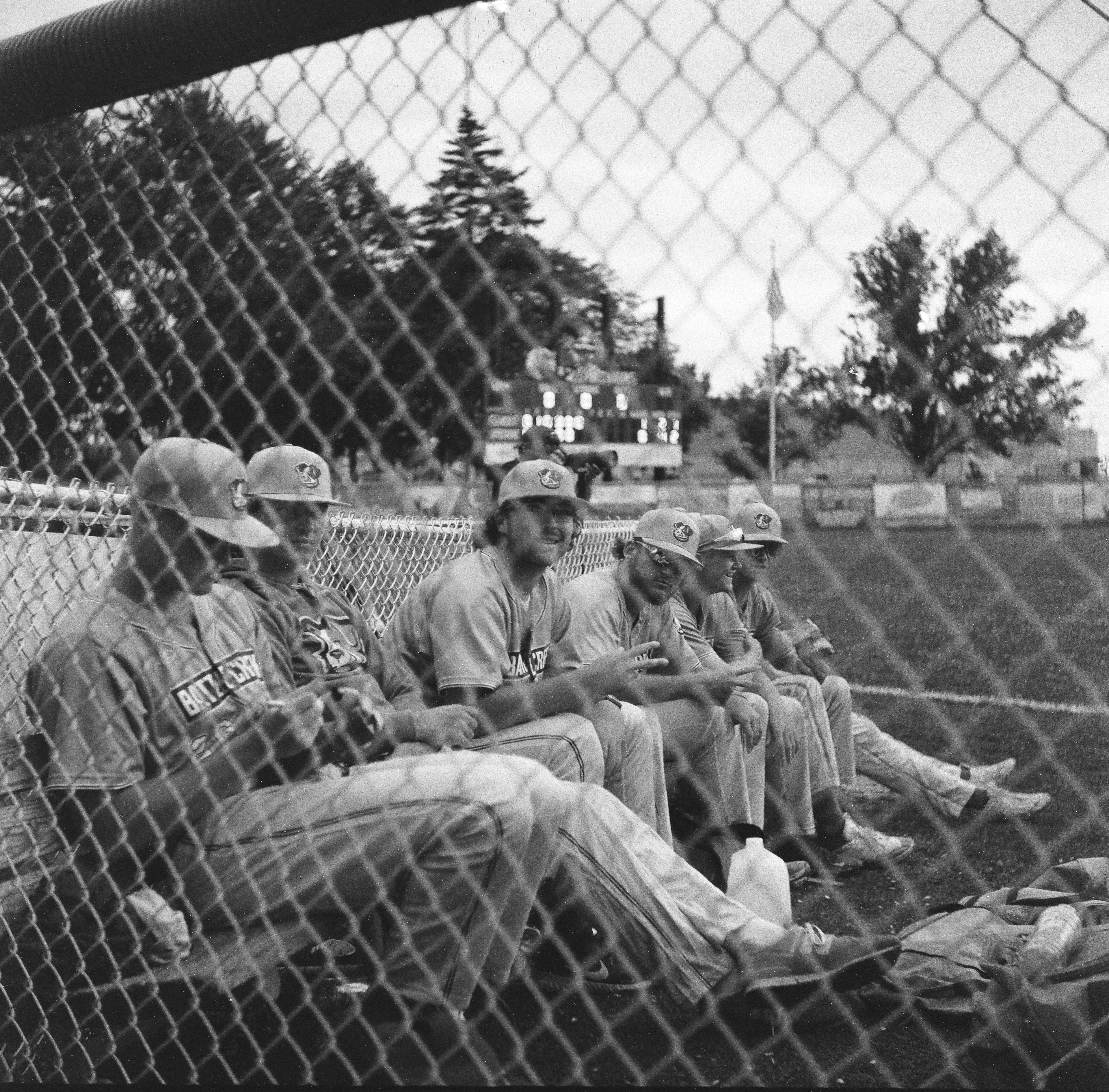 yashica-c tlr, lomography lady grey