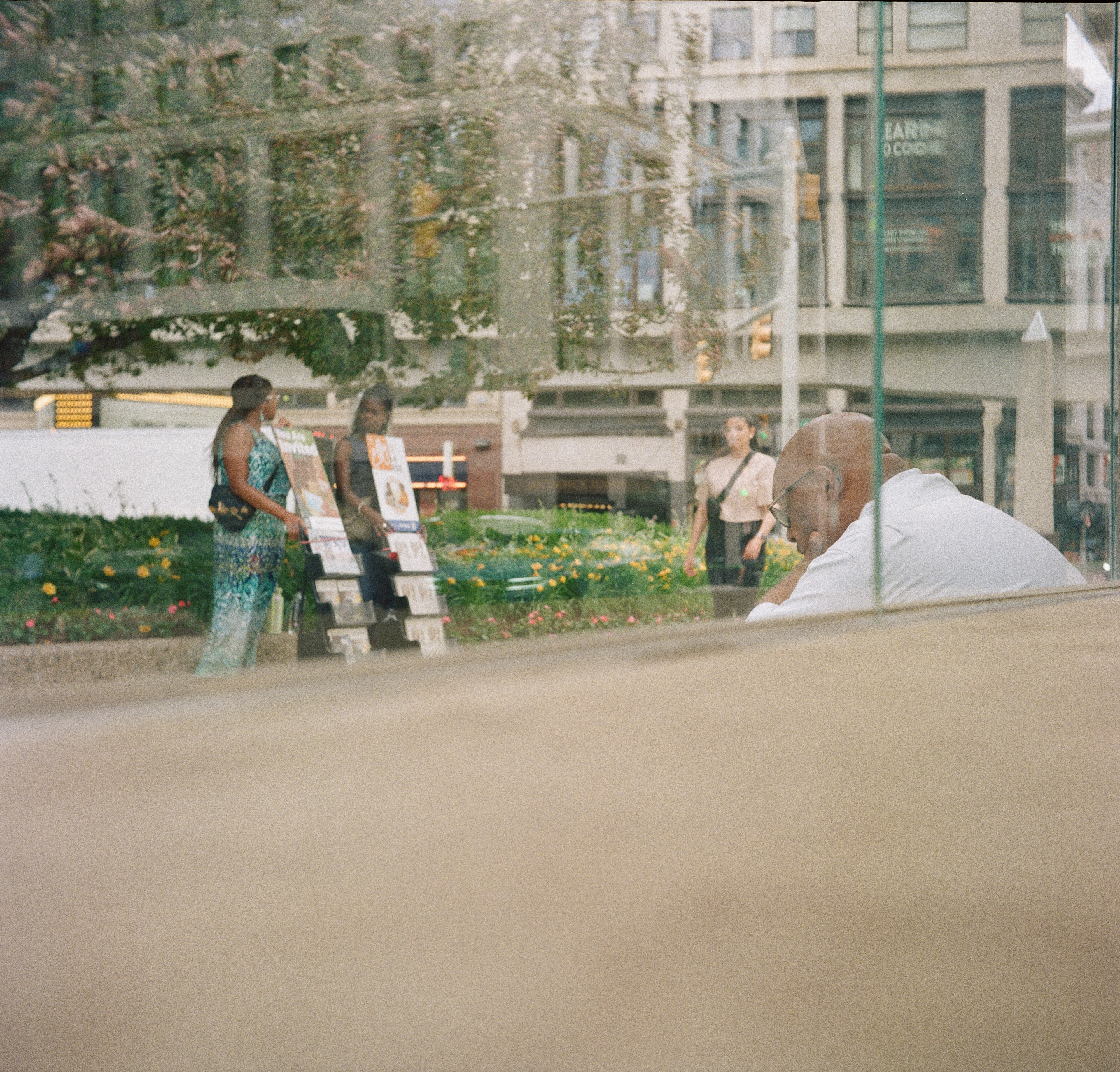 yashica c tlr, kodak portra 800