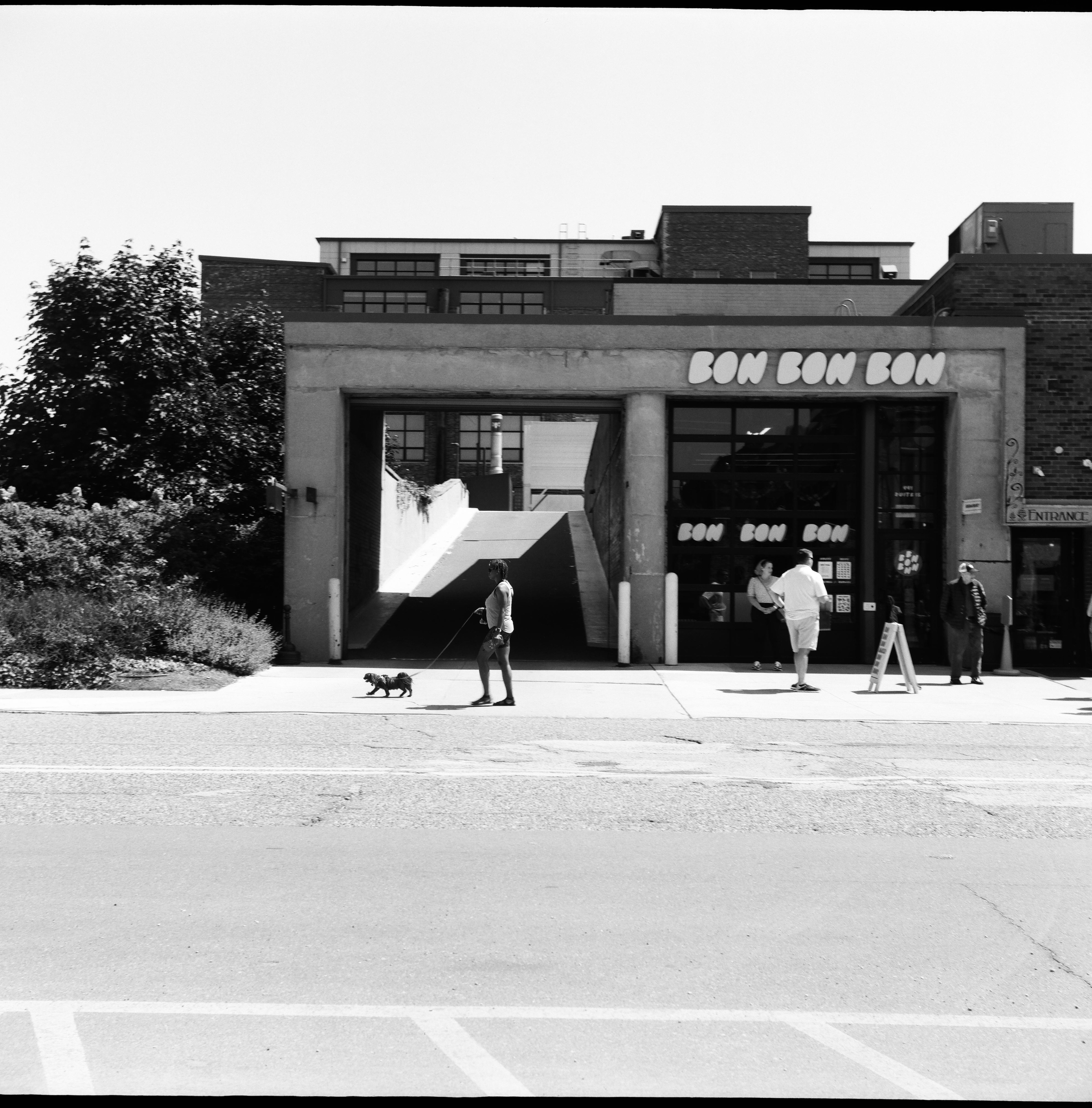 yashica-c tlr, ilford delta 100 120 film