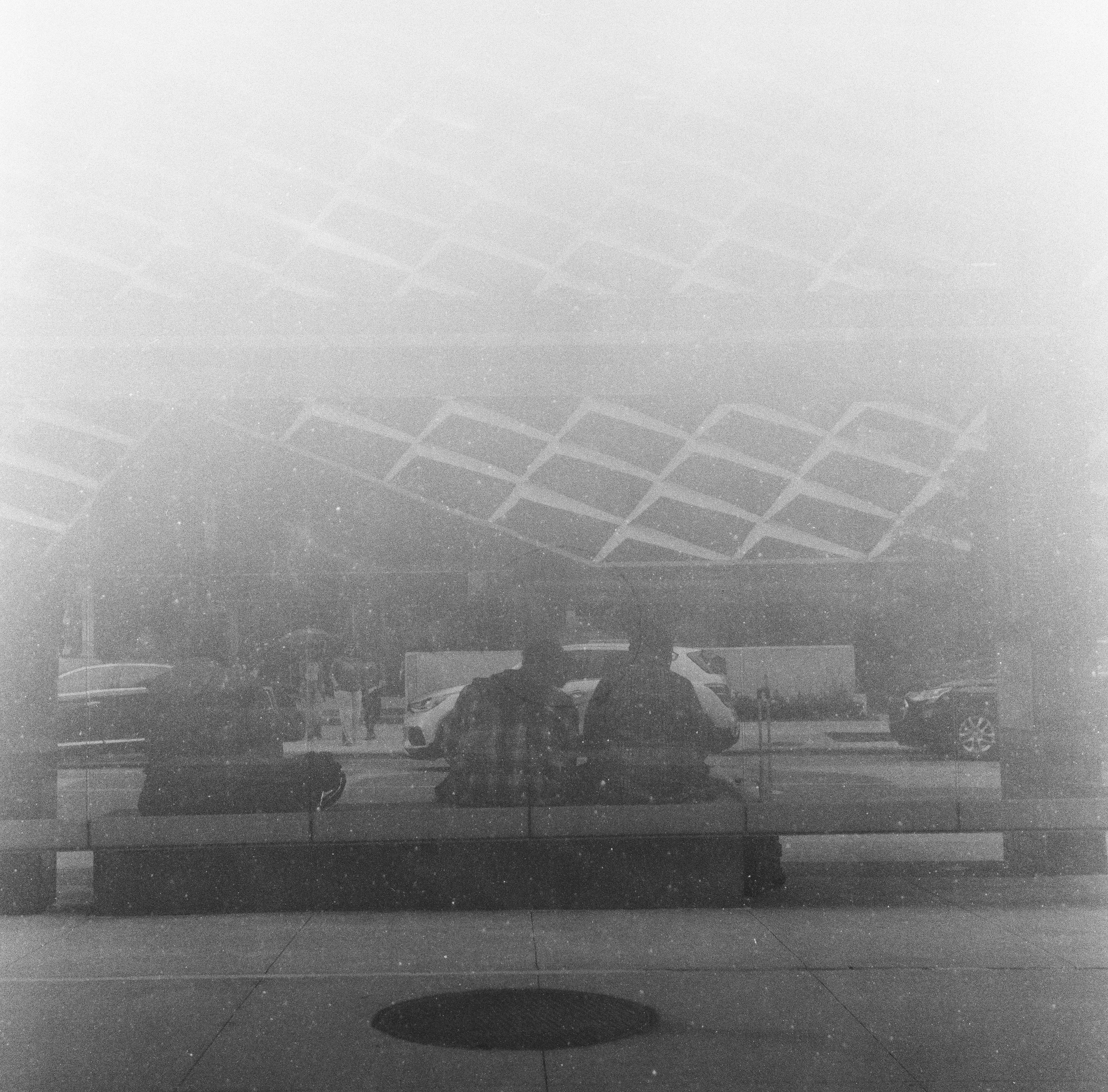 yashica c tlr, lomo lady gray