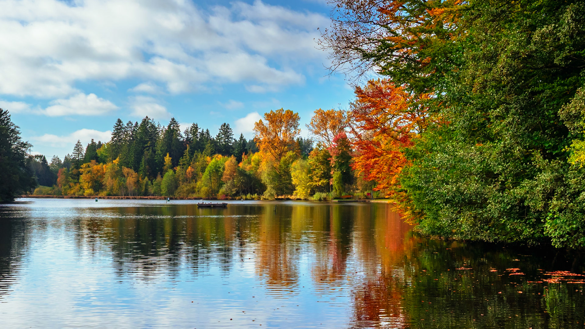 Das Bild zeigt einen ruhigen See, umgeben von Bäumen in leuchtenden Herbstfarben. Im Hintergrund ist ein Boot zu sehen, das die Stille der Szene unterstreicht. Die Spiegelung der Bäume im Wasser verstärkt die idyllische Atmosphäre.