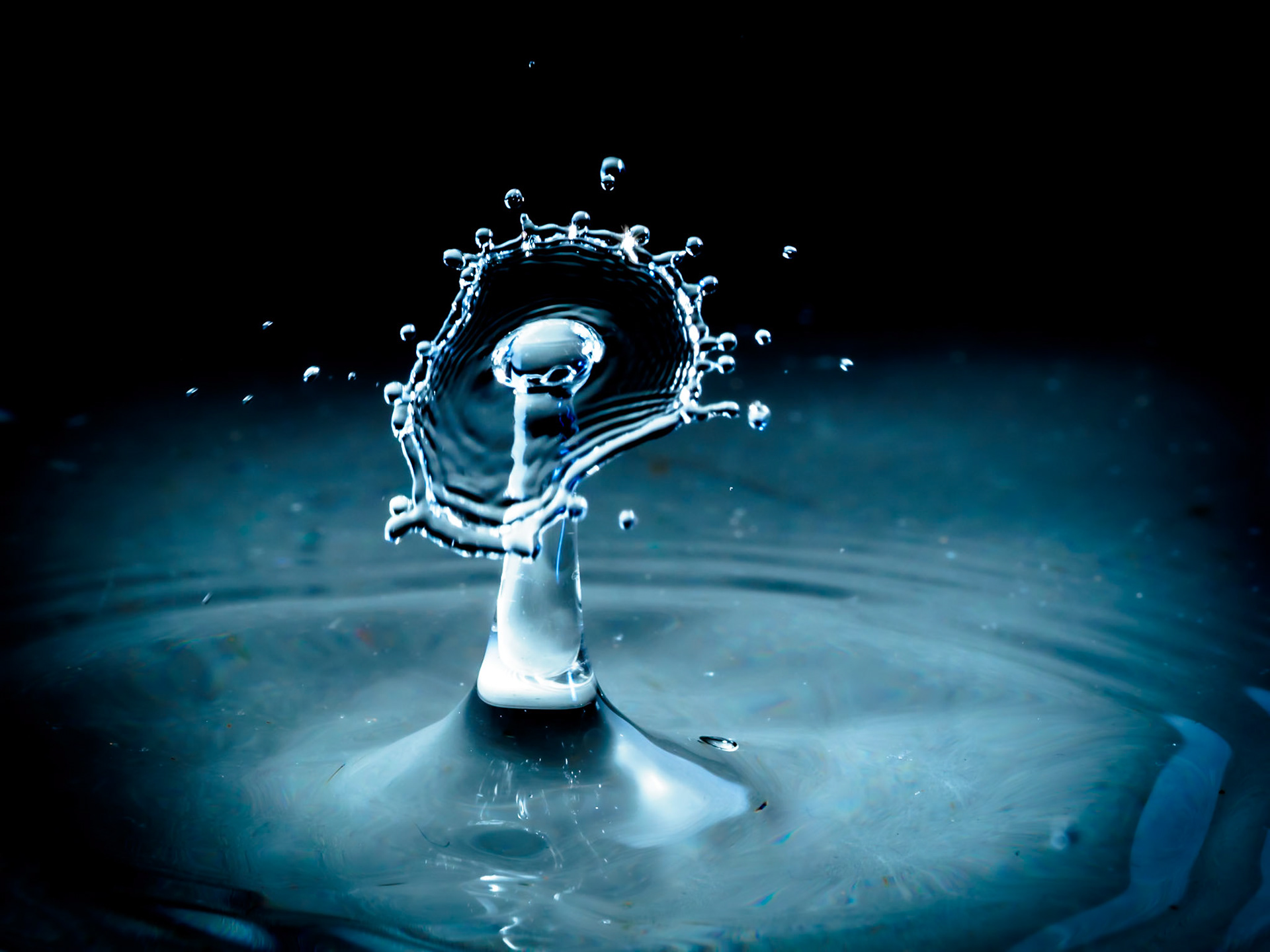 Platsch Platsch Platsch