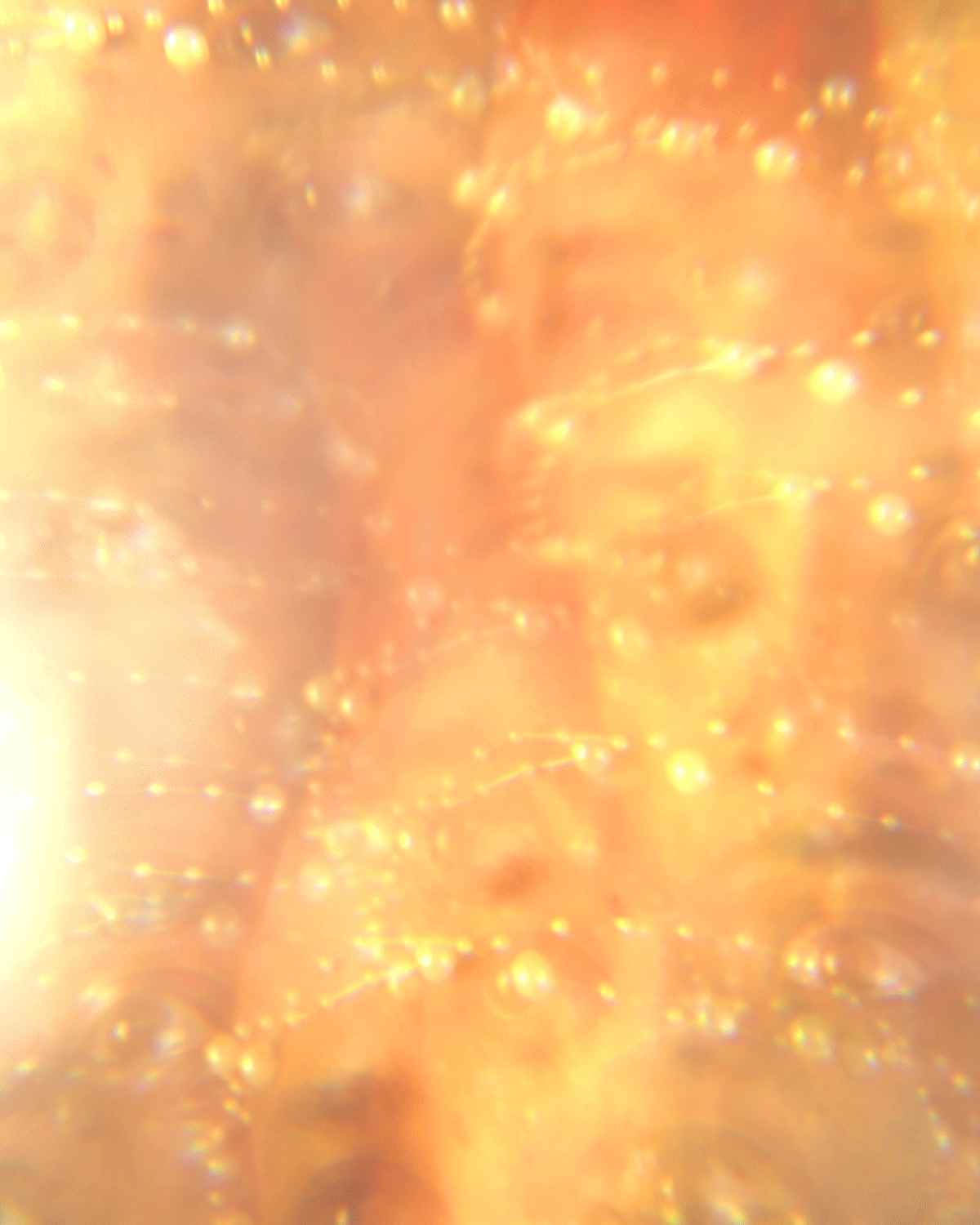 Heavenly Bodies, Rick. 2024