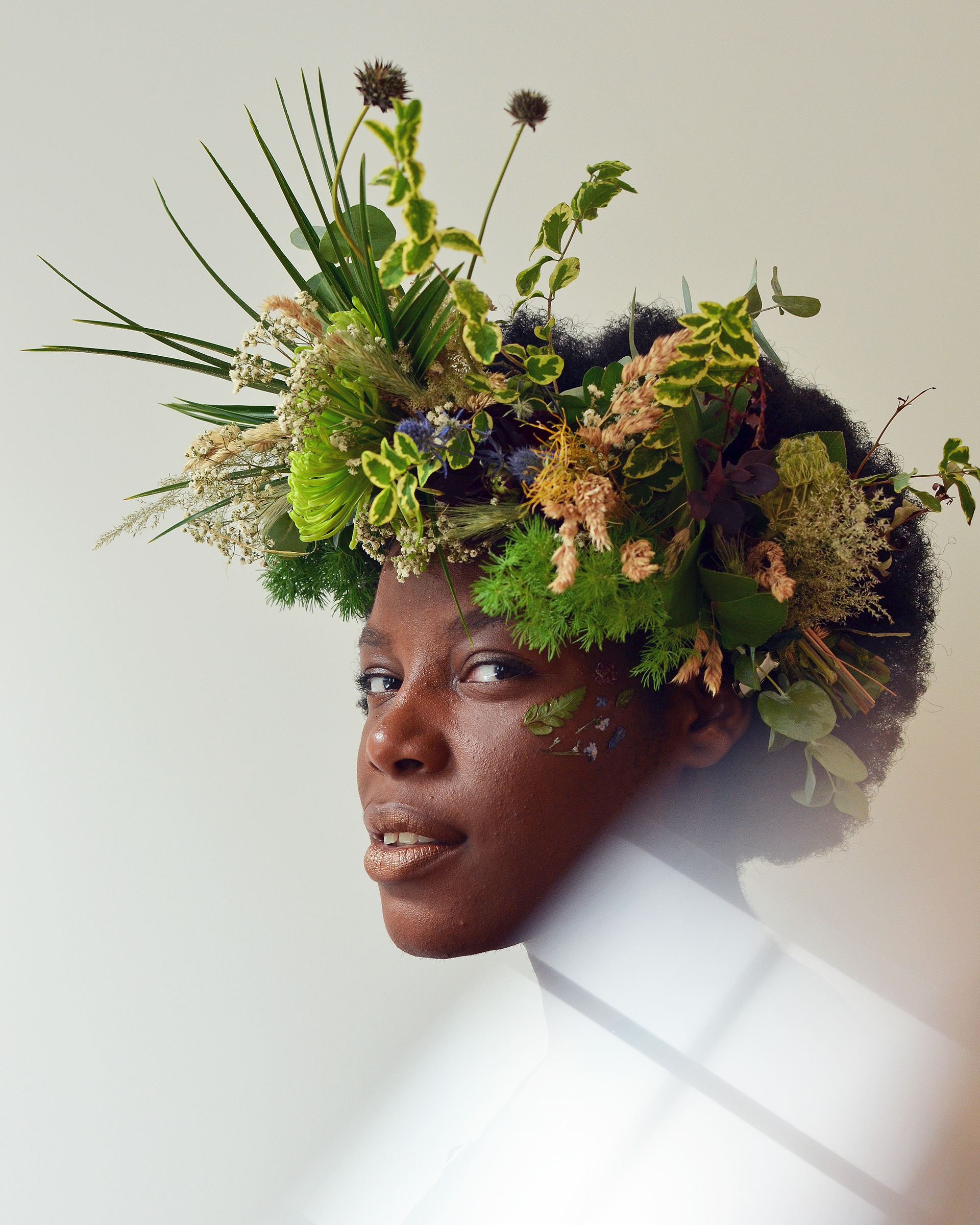 Miss Agapanthus. 2018