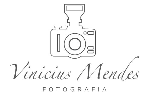 Vinicius Mendes