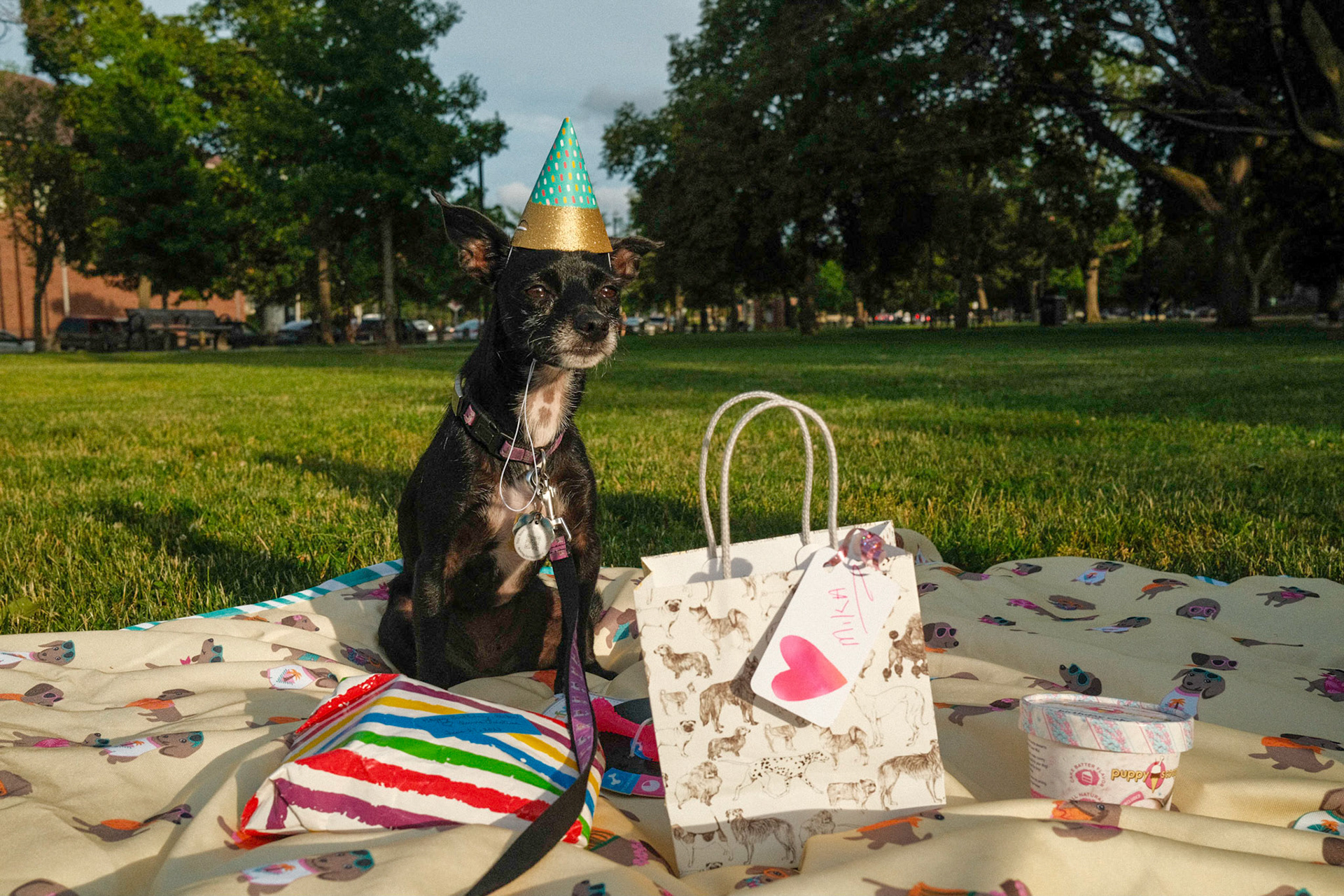 Mika's Fourth Birthday, 2023