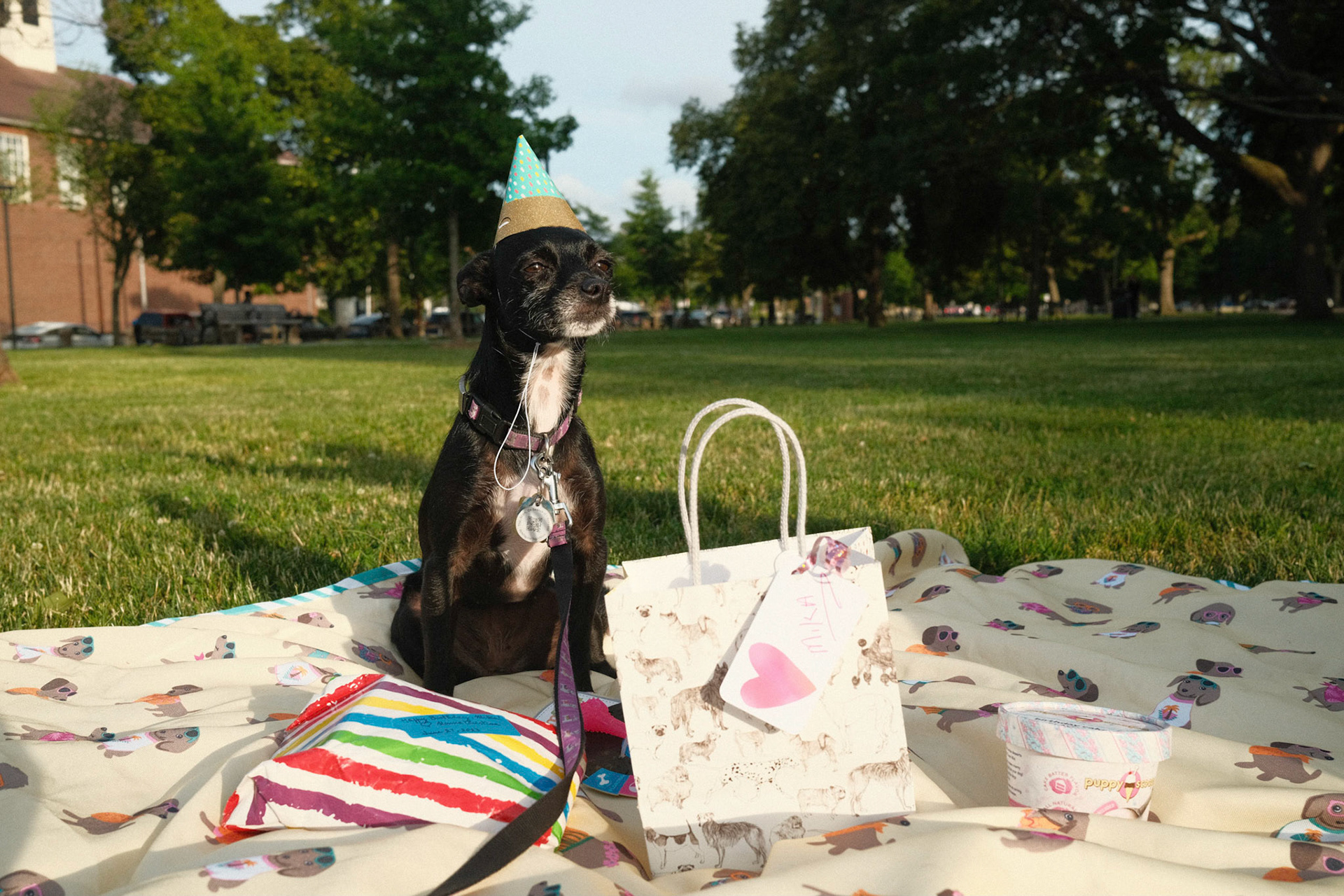 Mika's Fourth Birthday, 2023