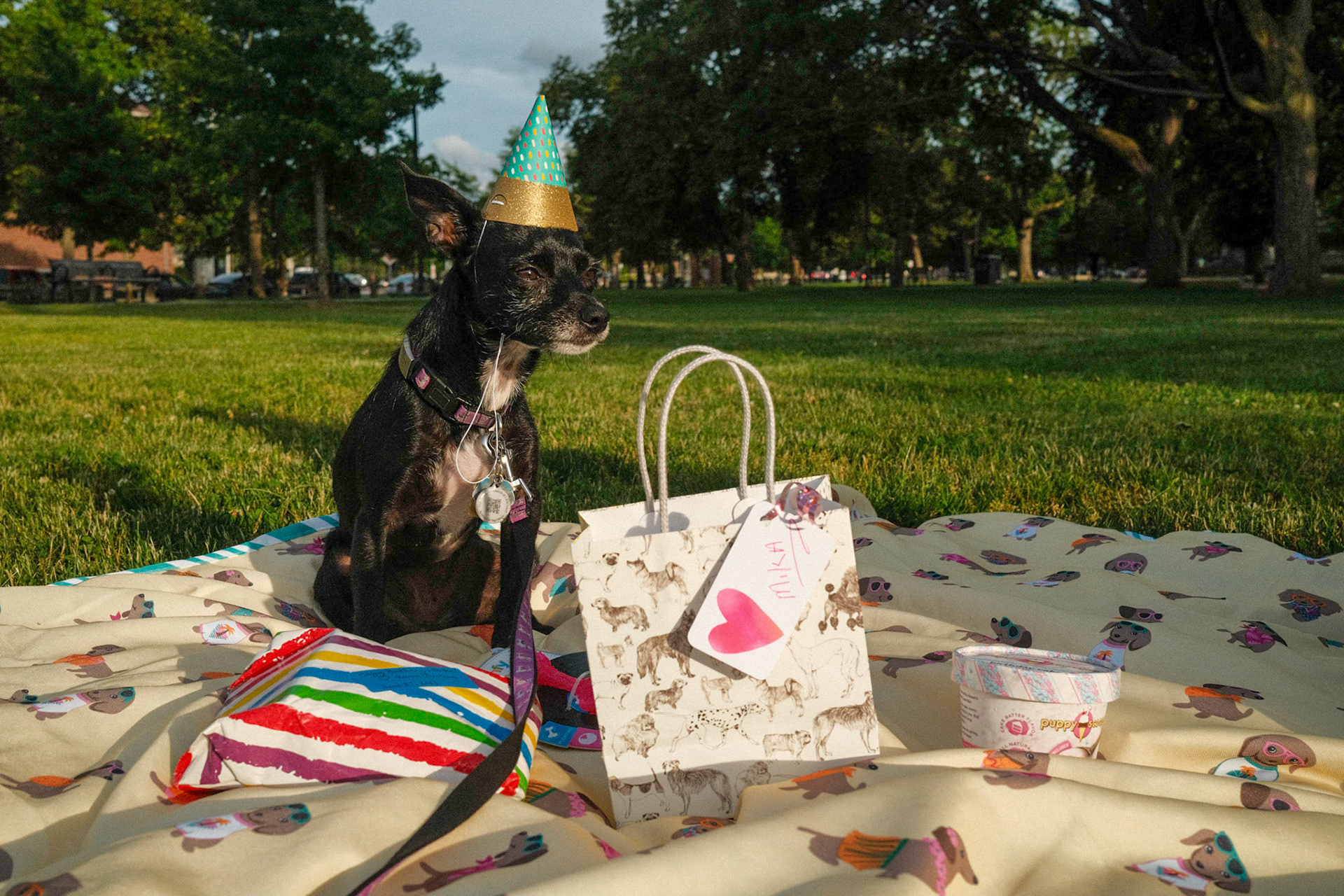 Mika's Fourth Birthday, 2023