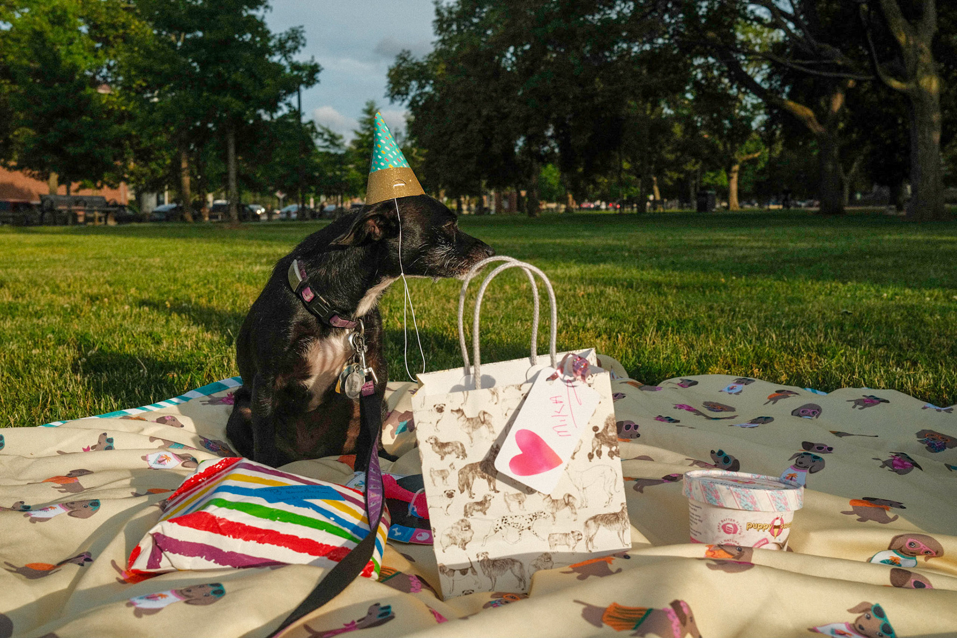 Mika's Fourth Birthday, 2023