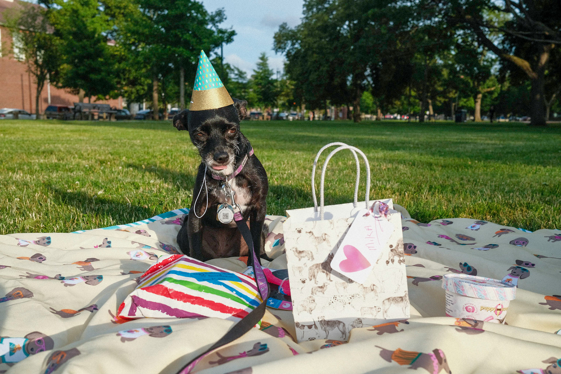 Mika's Fourth Birthday, 2023